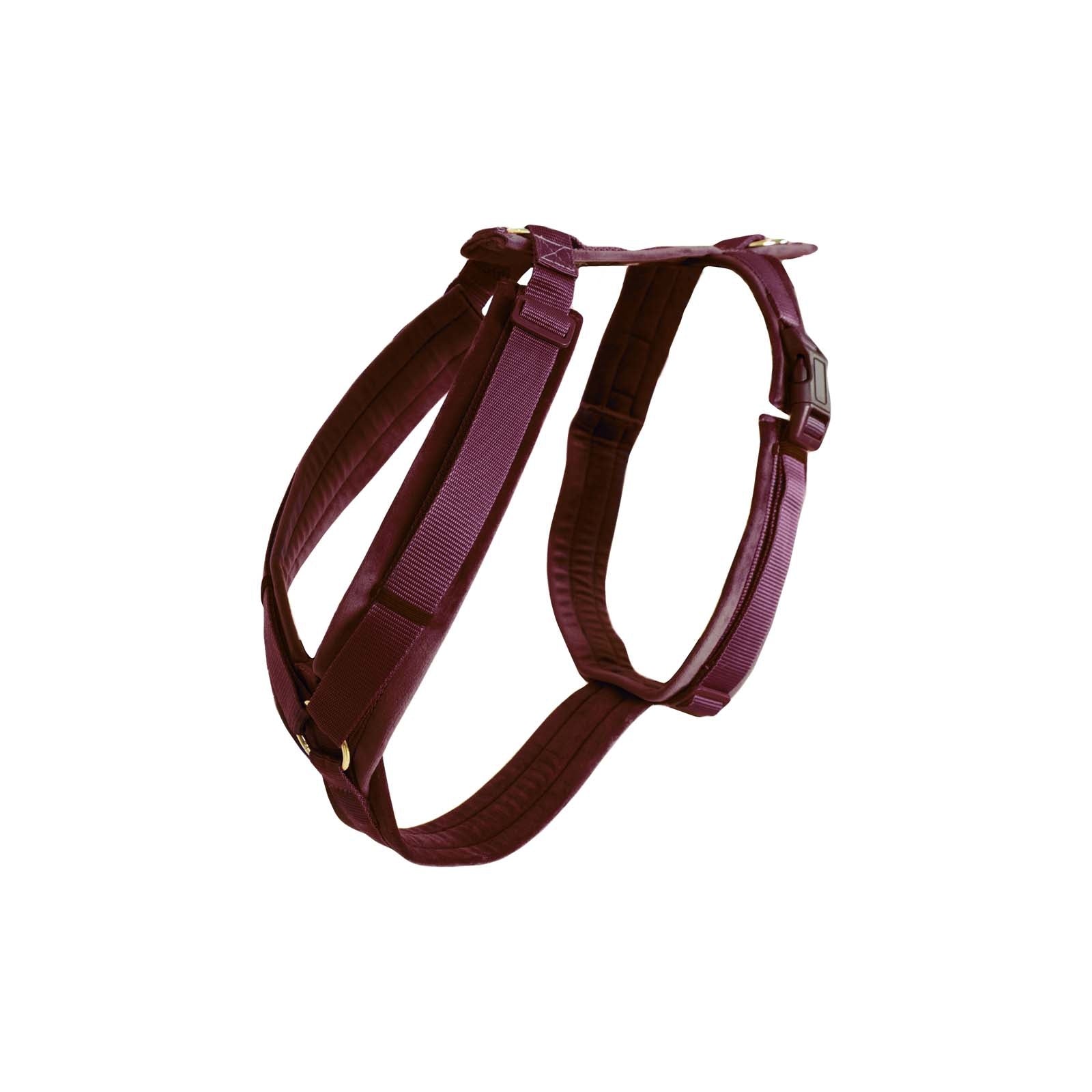 Kentucky Dogwear Pettorina Velvet Active Cane