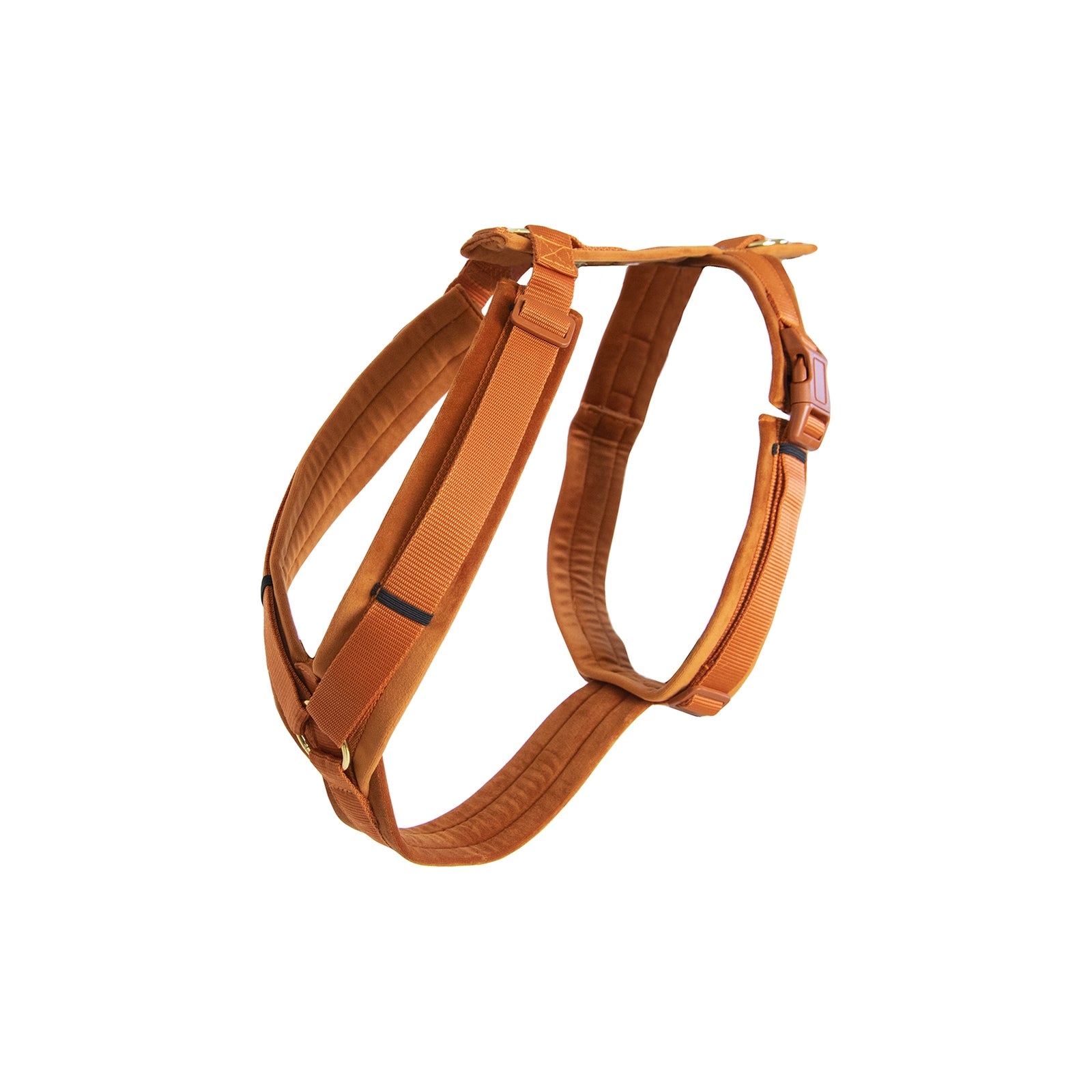 Kentucky Dogwear Pettorina Velvet Active Cane
