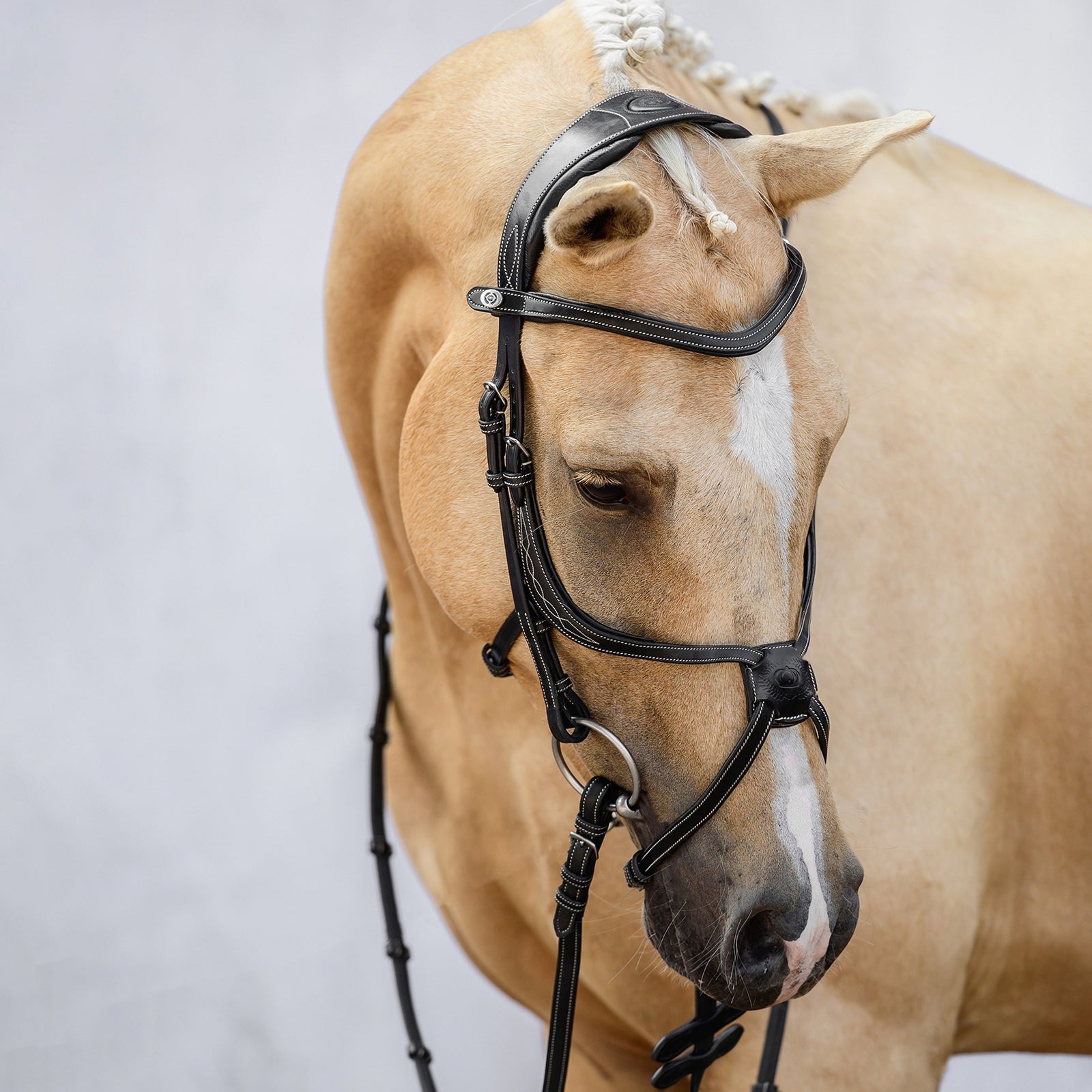 PS of Sweden PS della Svezia Briglia messicana di Atene Briglie & redini