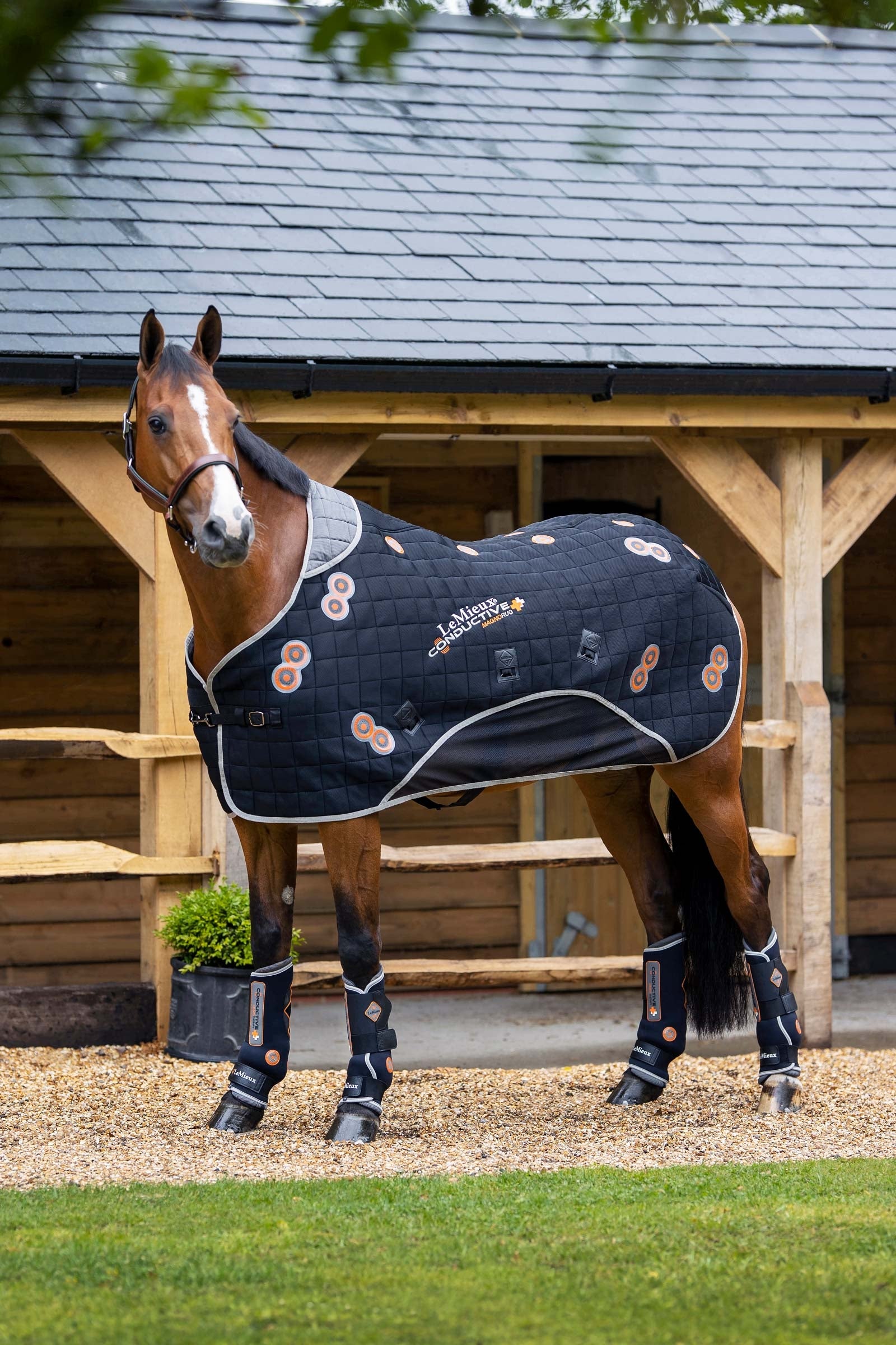 LeMieux Conductive MagnoRug Magnetic Therapy Rug Horse Rugs