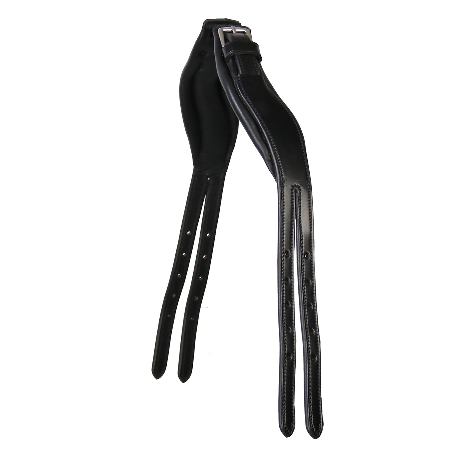 Schockemöhle Sports Equitus Copricapo Rho Briglie & redini