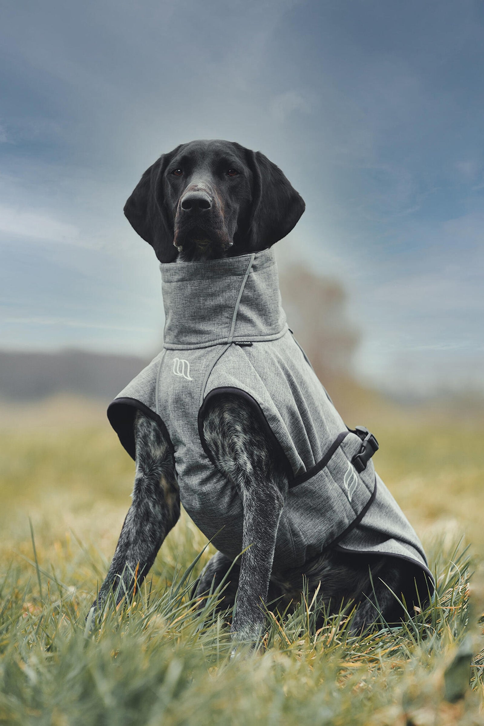 Back on Track Bark All-Round Dog Coat, 40-50cm Dog Accesories