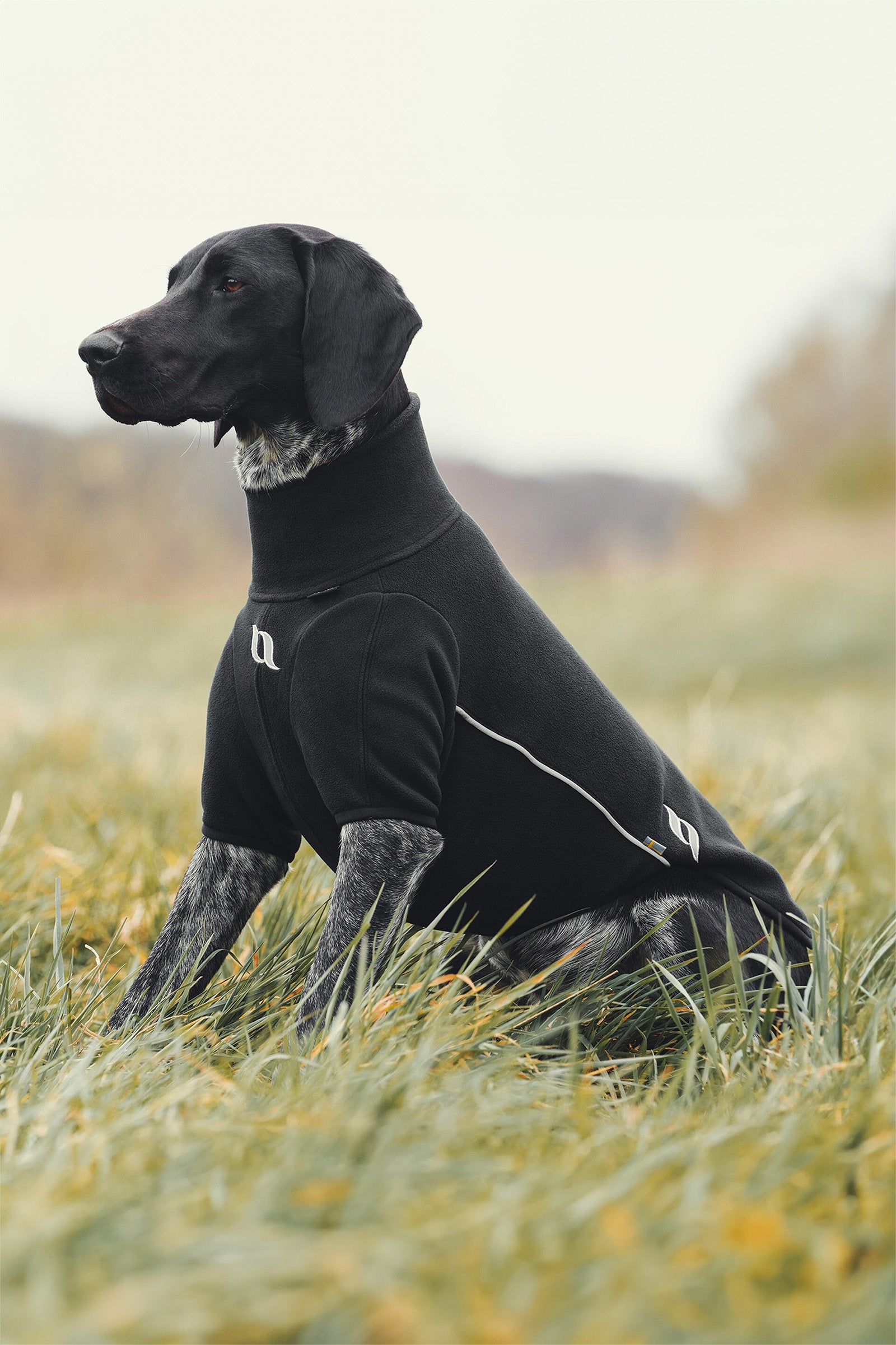 Back on Track Cassie All-Weather Jumper, 25-30cm Dog Accesories