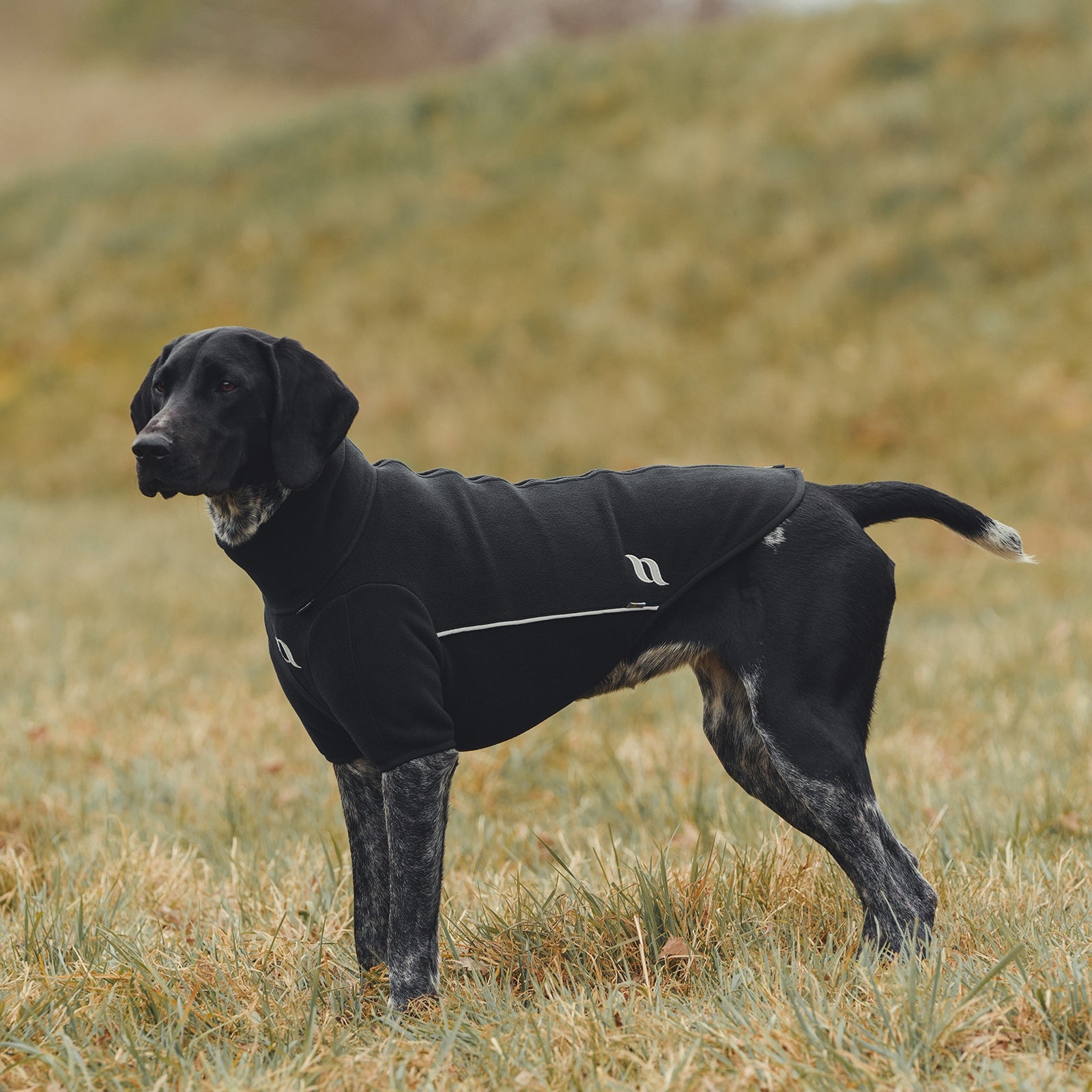Back on Track Cassie All-Weather Jumper, 25-30cm Dog Accesories
