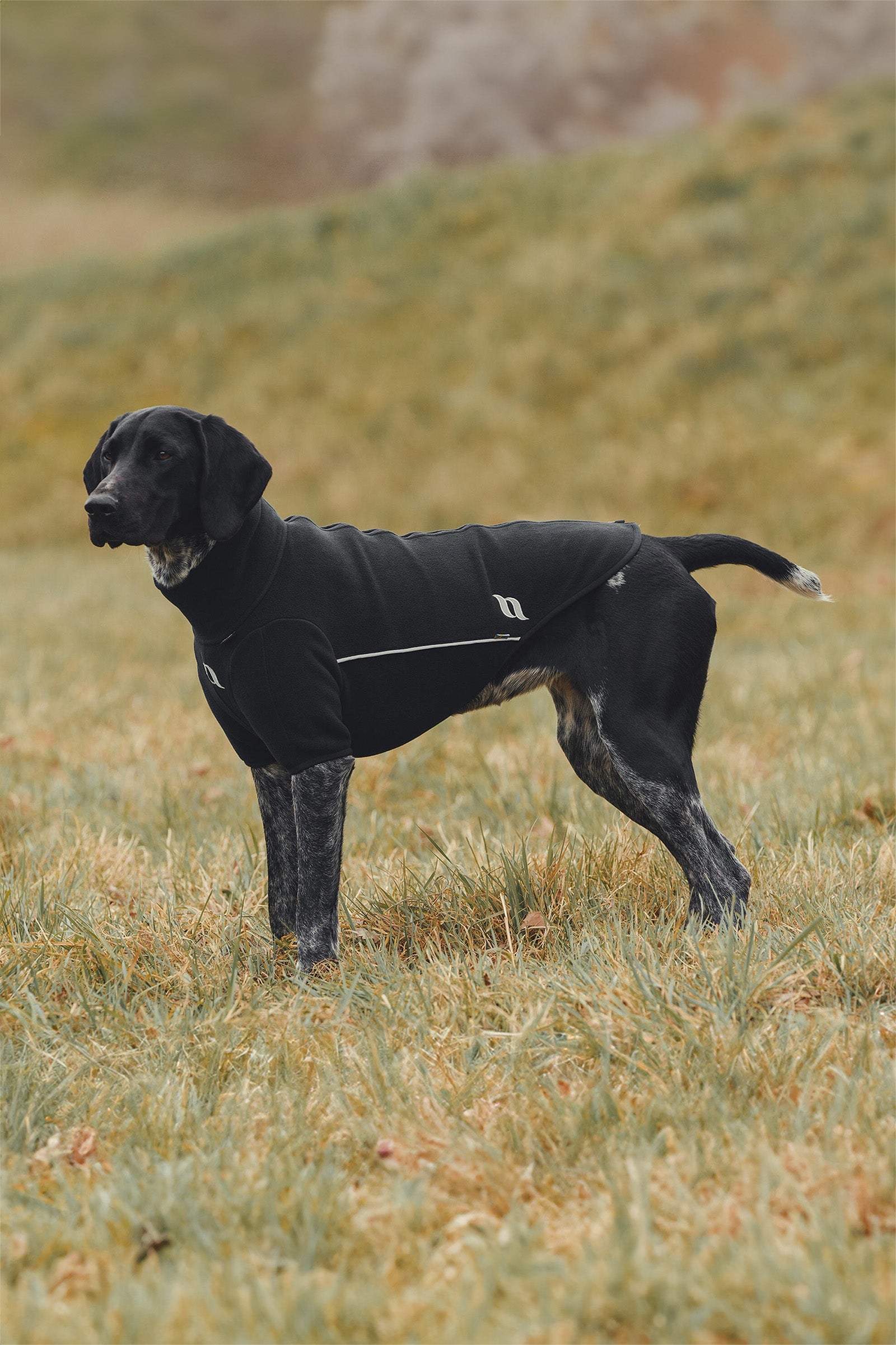 Back on Track Cassie All-Weather Jumper, 55-60cm Dog Accesories