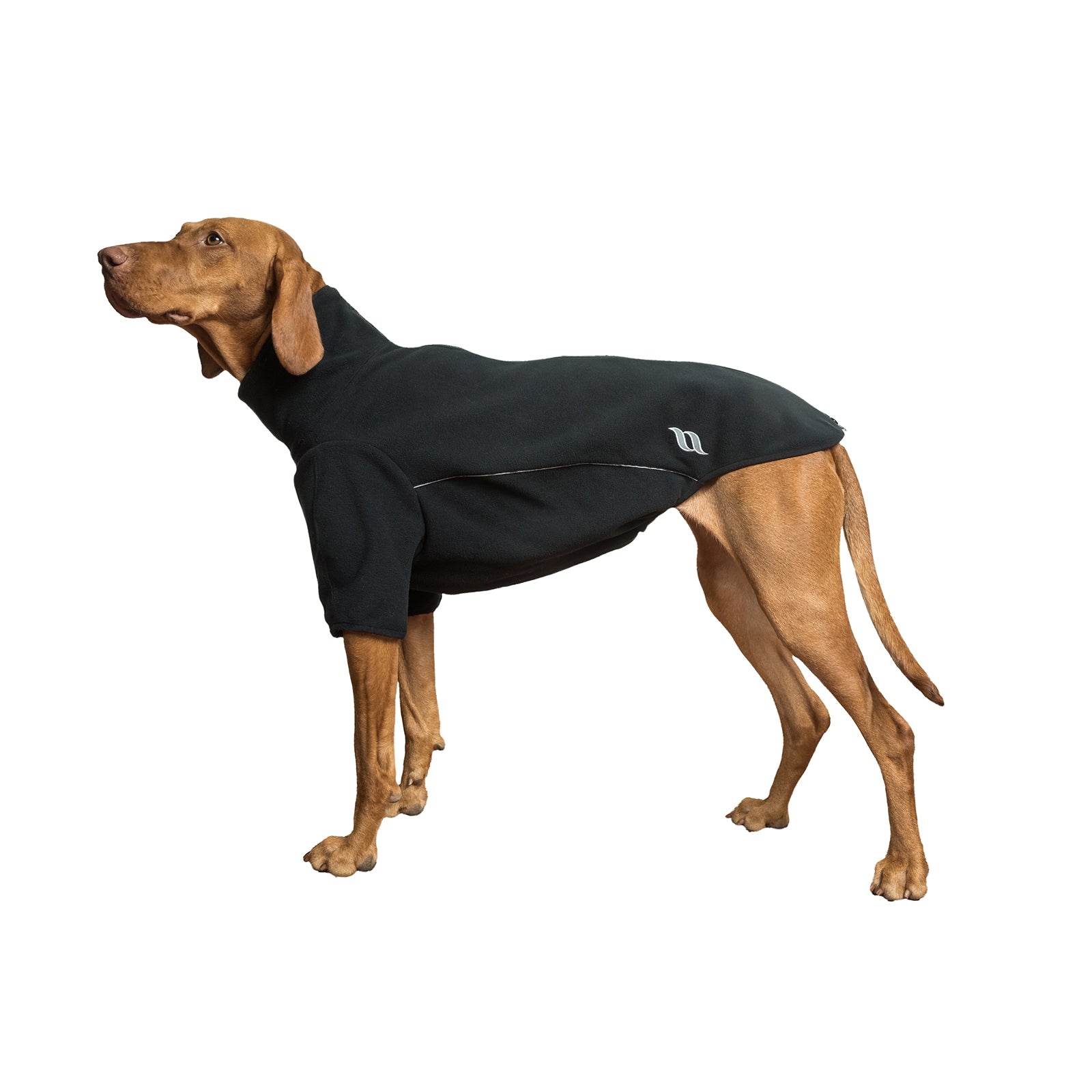 Back on Track Cassie All-Weather Jumper, 55-60cm Dog Accesories