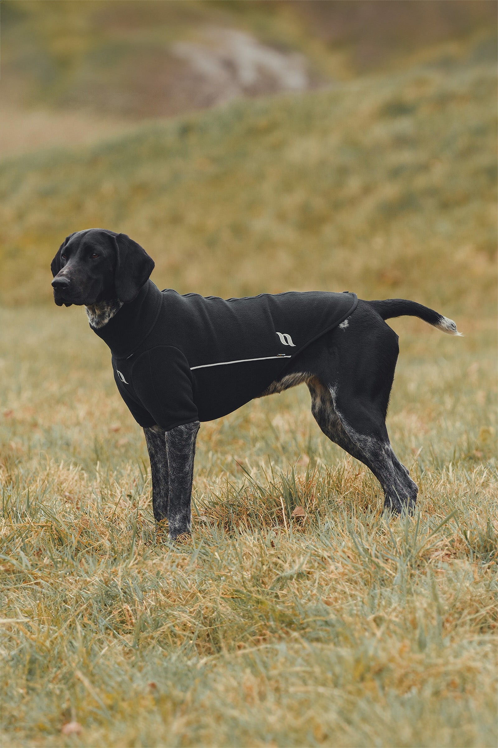 Back on Track Cassie All-Weather Jumper, 65-70cm Dog Accesories