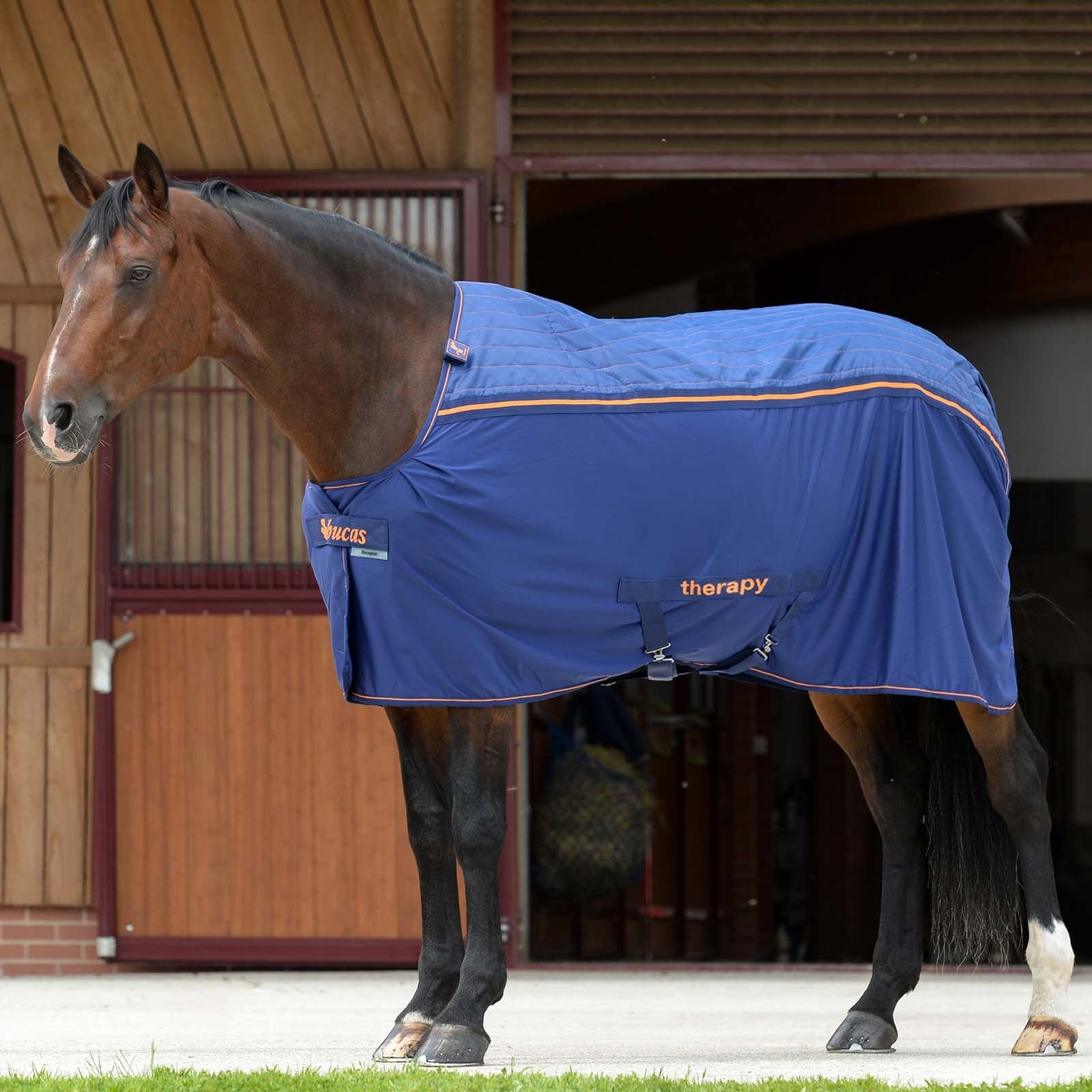 Bucas Coperta Therapy raffreddante con collo grande Coperte per cavalli