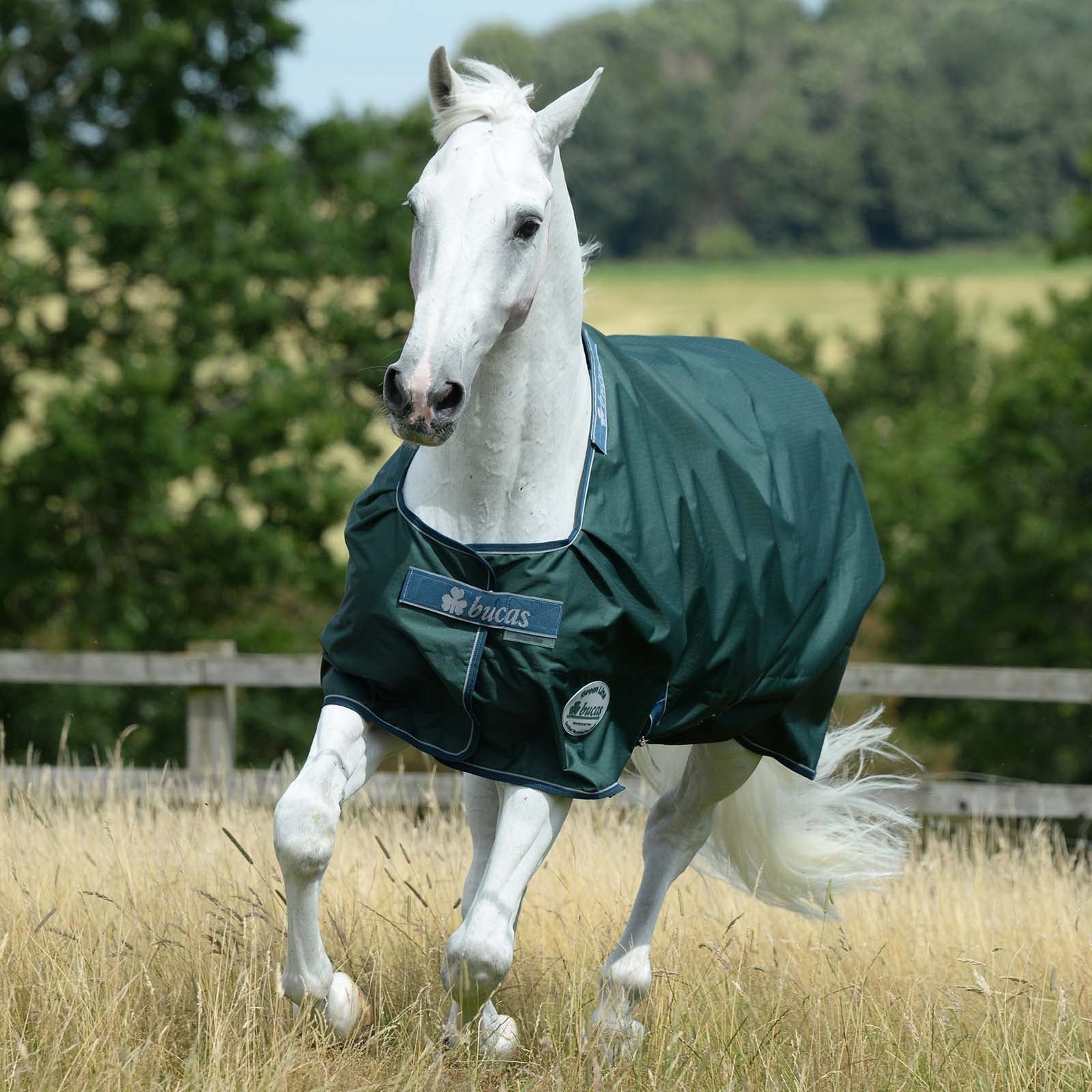 Bucas Green-Line Coperta da turnout 300g Coperte per cavalli