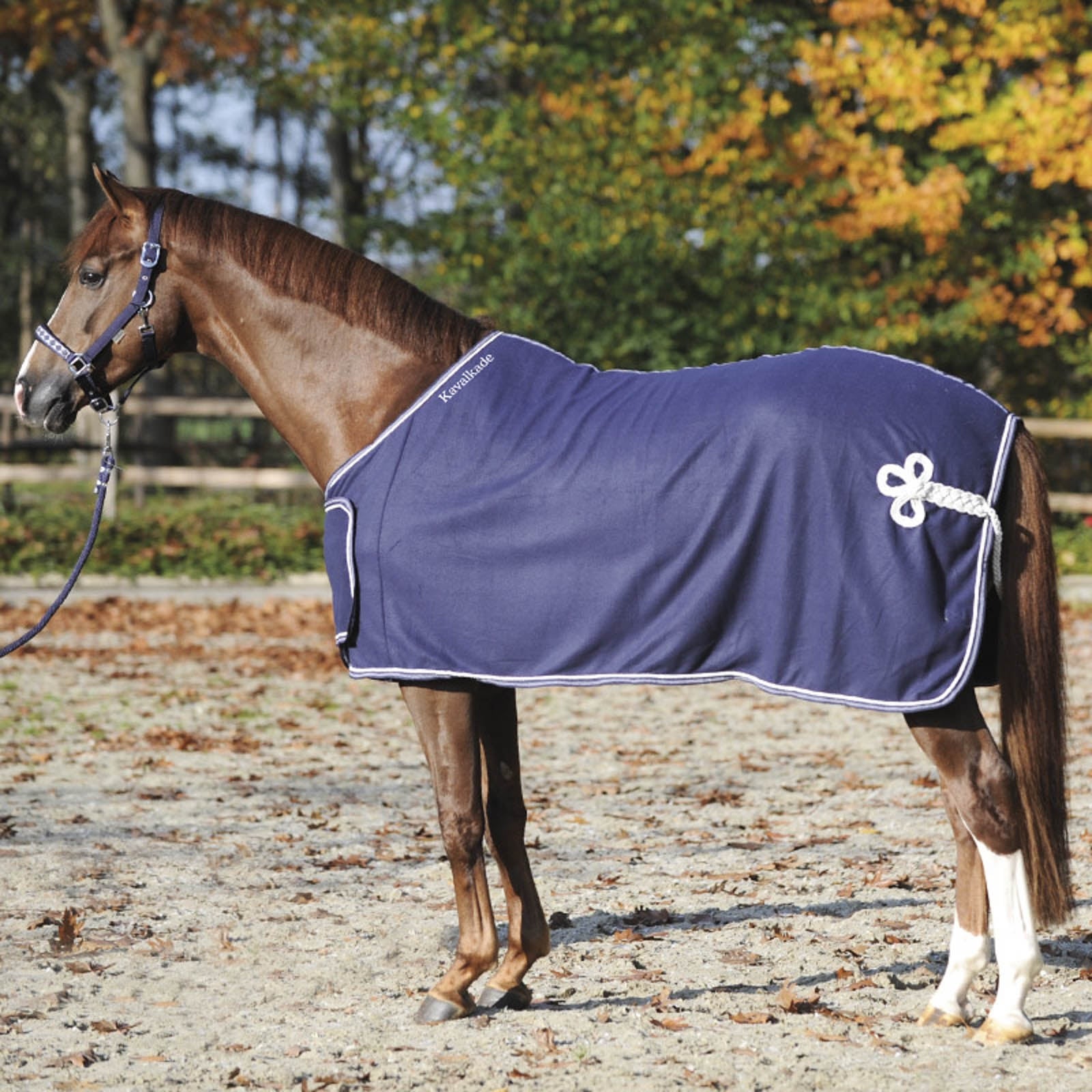 Kavalkade Borsa termica con pettorina Coperte per cavalli