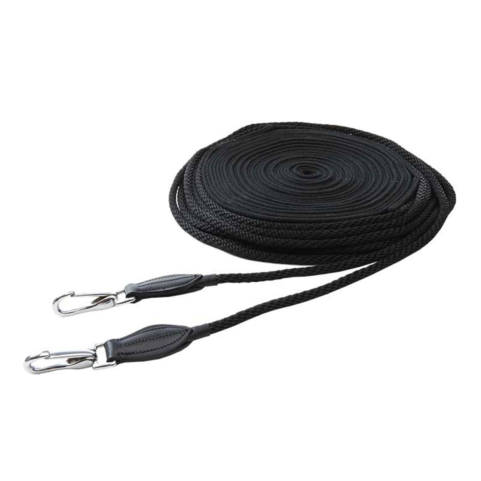 Kavalkade Doppio affondo con cordoncino Addestramento del cavallo