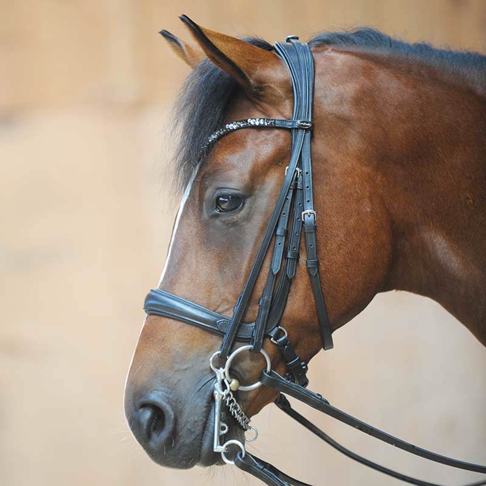 Kavalkade Ivonnne (Double) Bridle Bridles & Reins