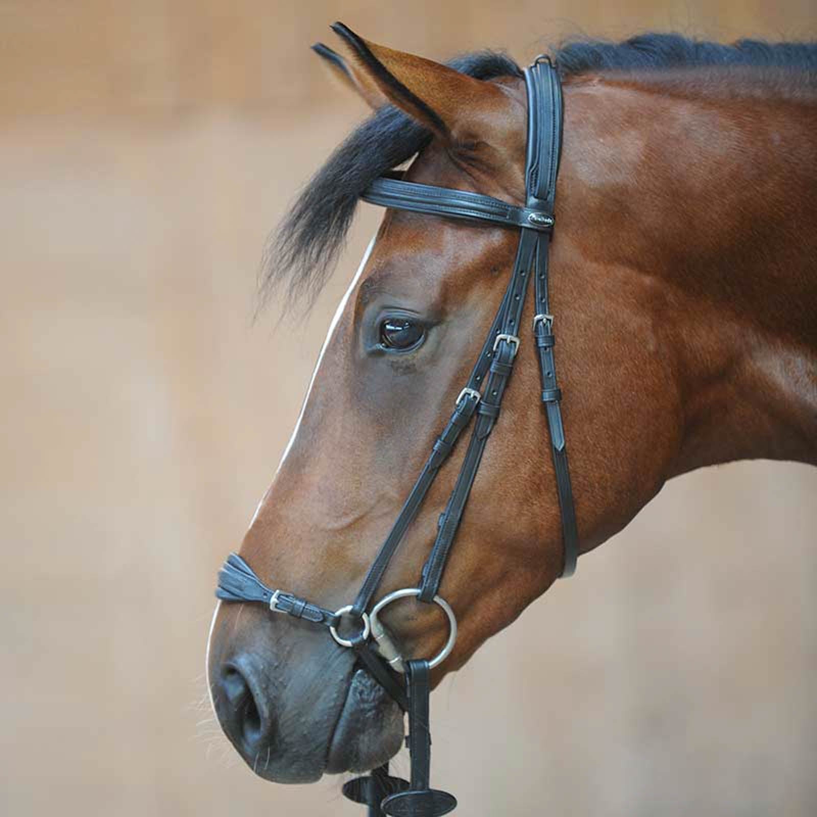 Kavalkade Briglia Levana Briglie & redini
