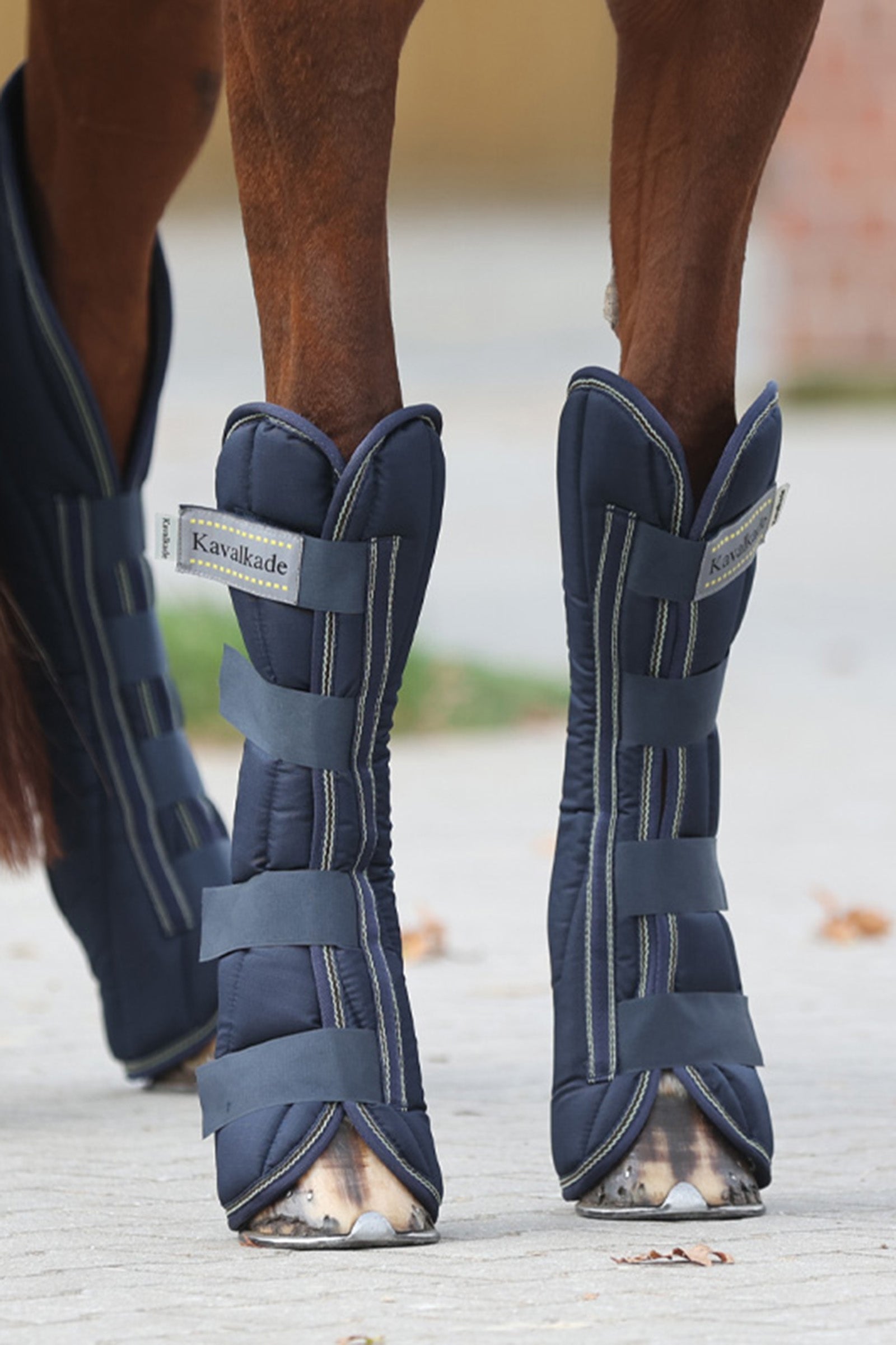 Kavalkade Montreal paratendini da trasporto (set da 4) Leg & Hoof Protection