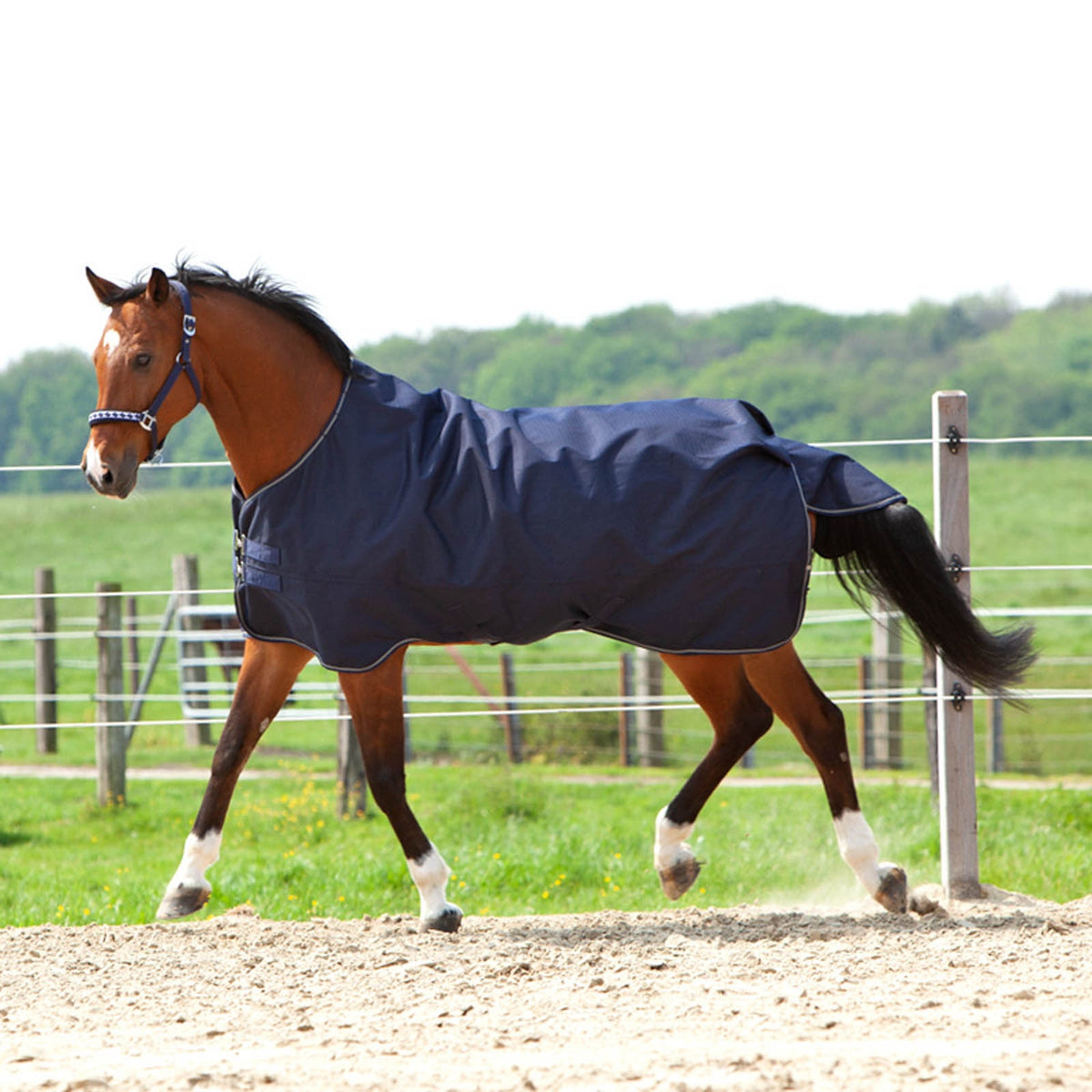 Kavalkade Montreal Turnout Rug, 0g Coperte per cavalli