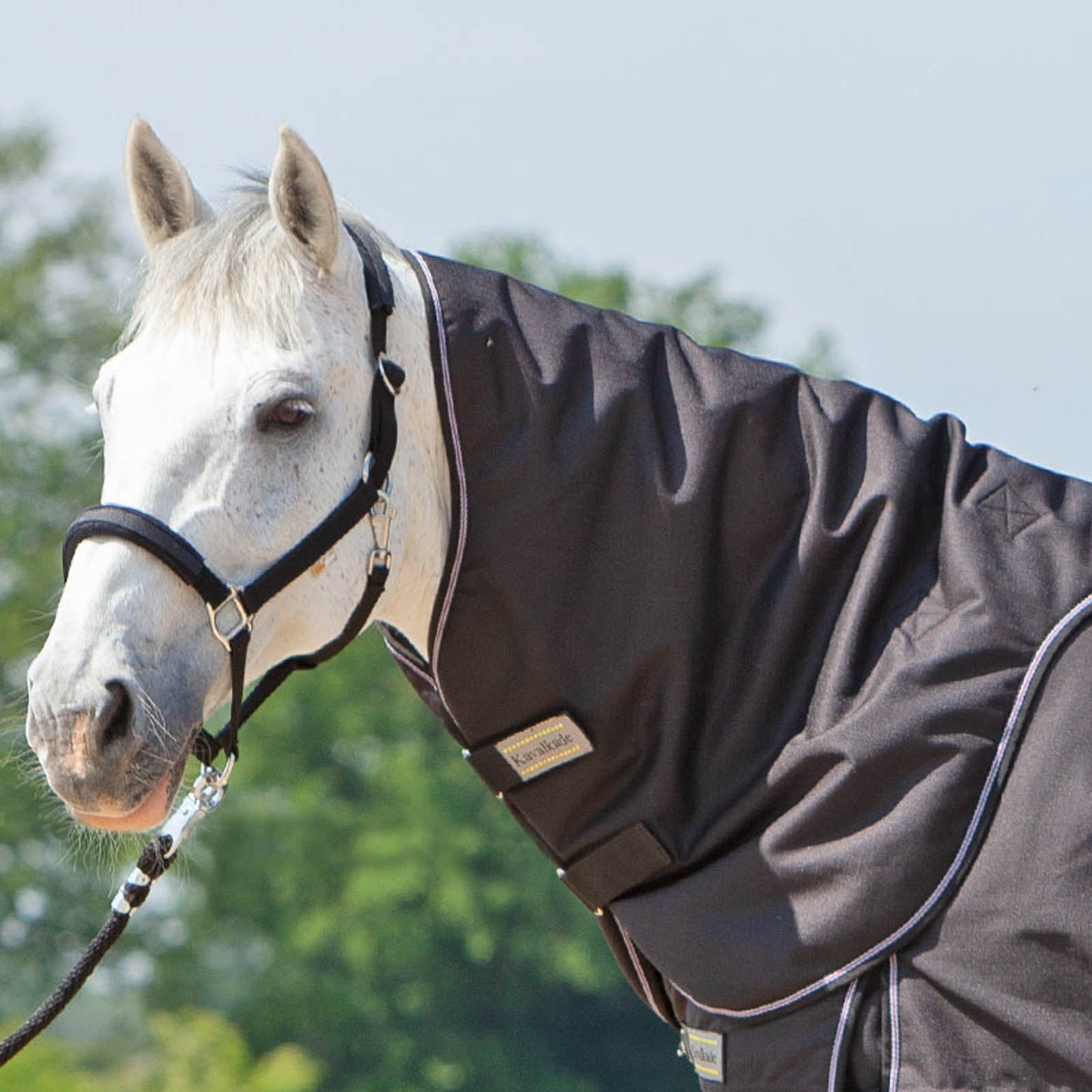 Kavalkade Collo per Alaska IV, 100 g Coperte per cavalli