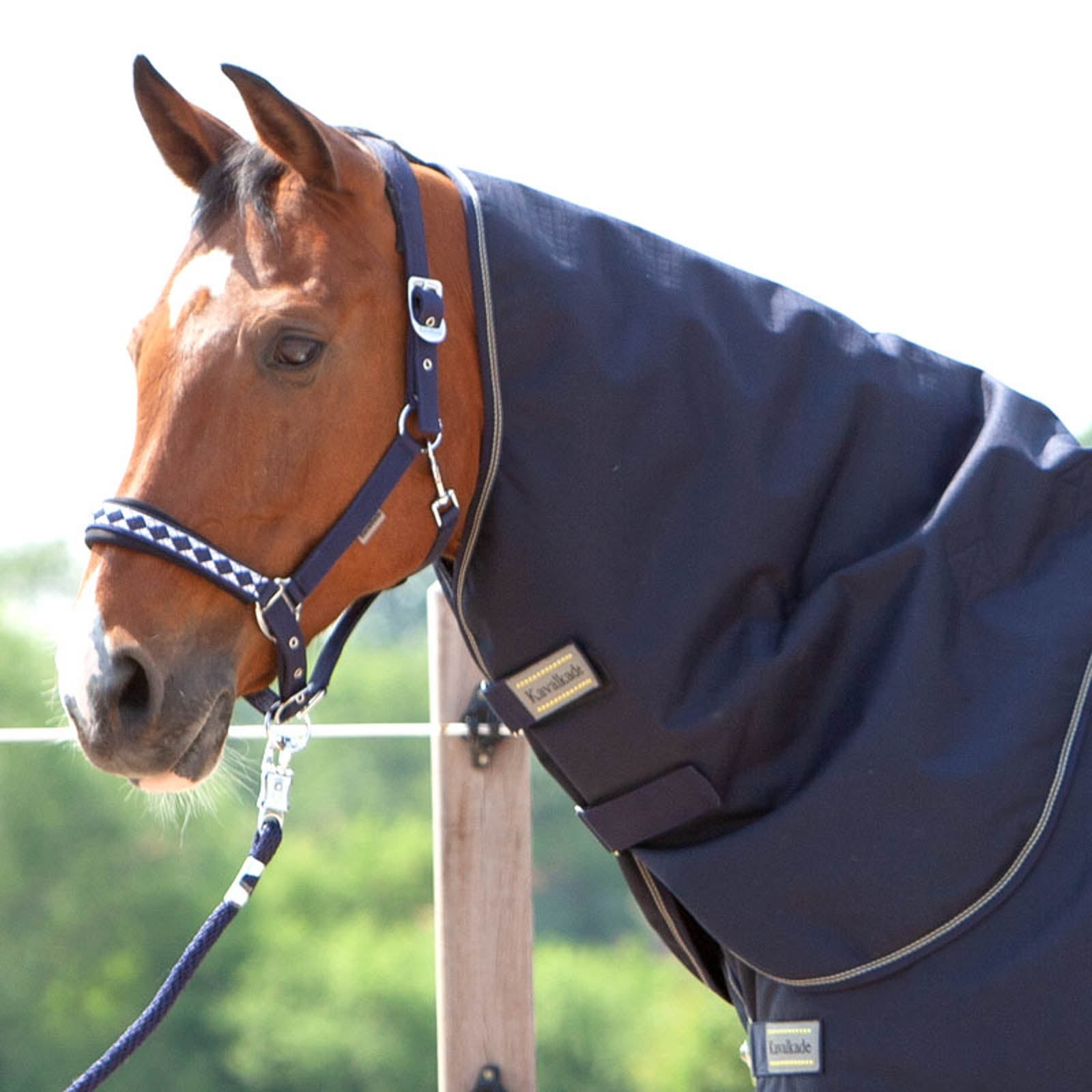 Kavalkade Neck for Montreal Turnout Rug, 100g Coperte per cavalli