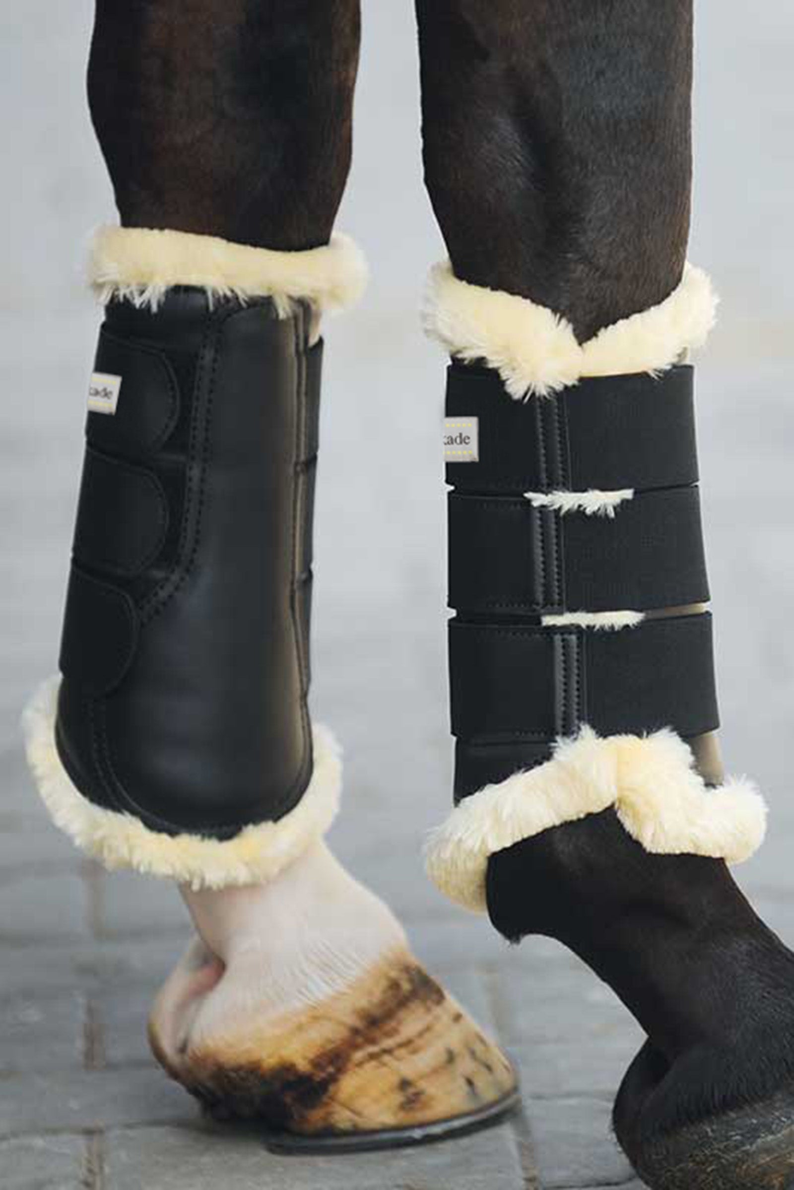 Kavalkade Stivali da spazzolatura Show Leg Protection & Hoof Protection for Horses