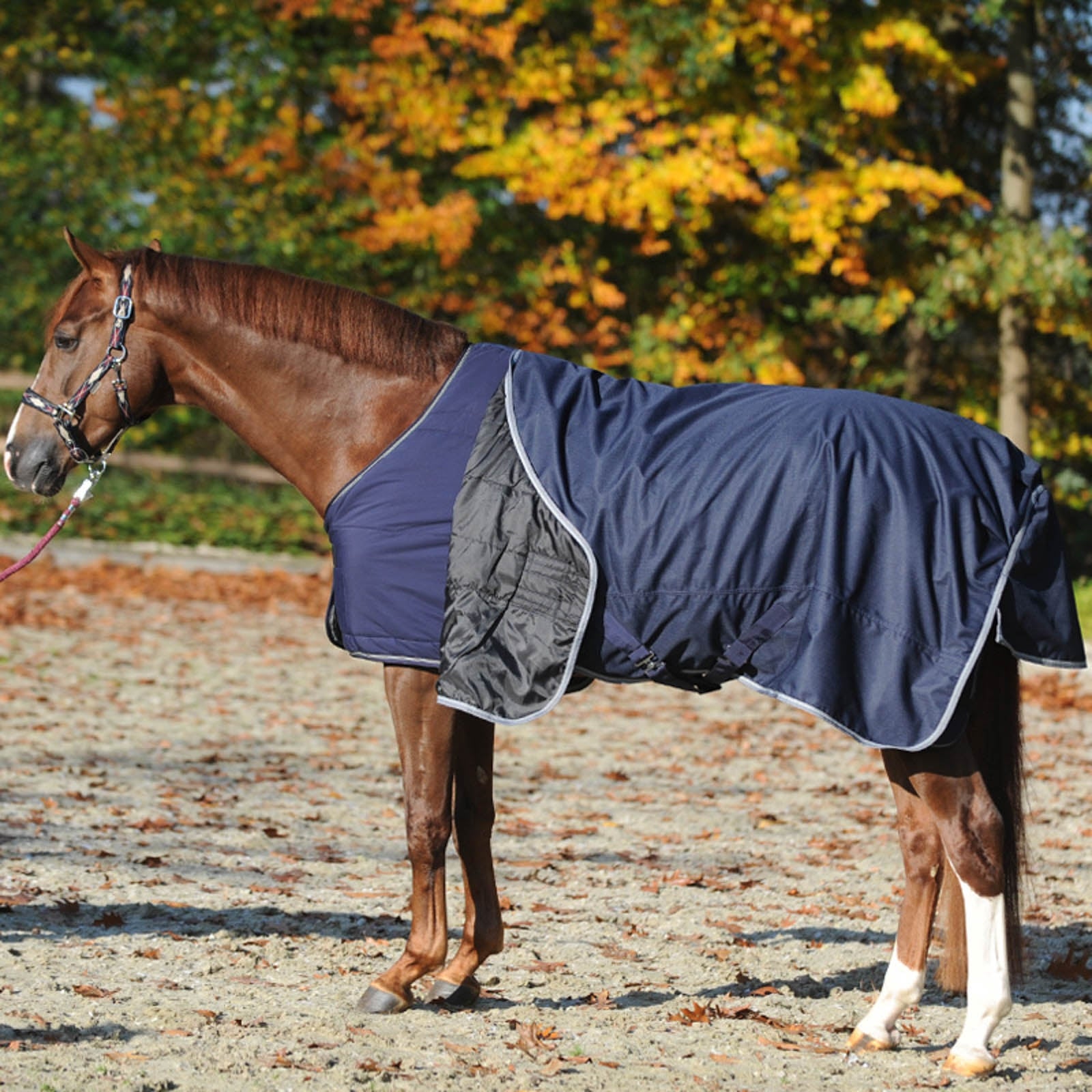 Kavalkade Under Rug 50g Coperte per cavalli