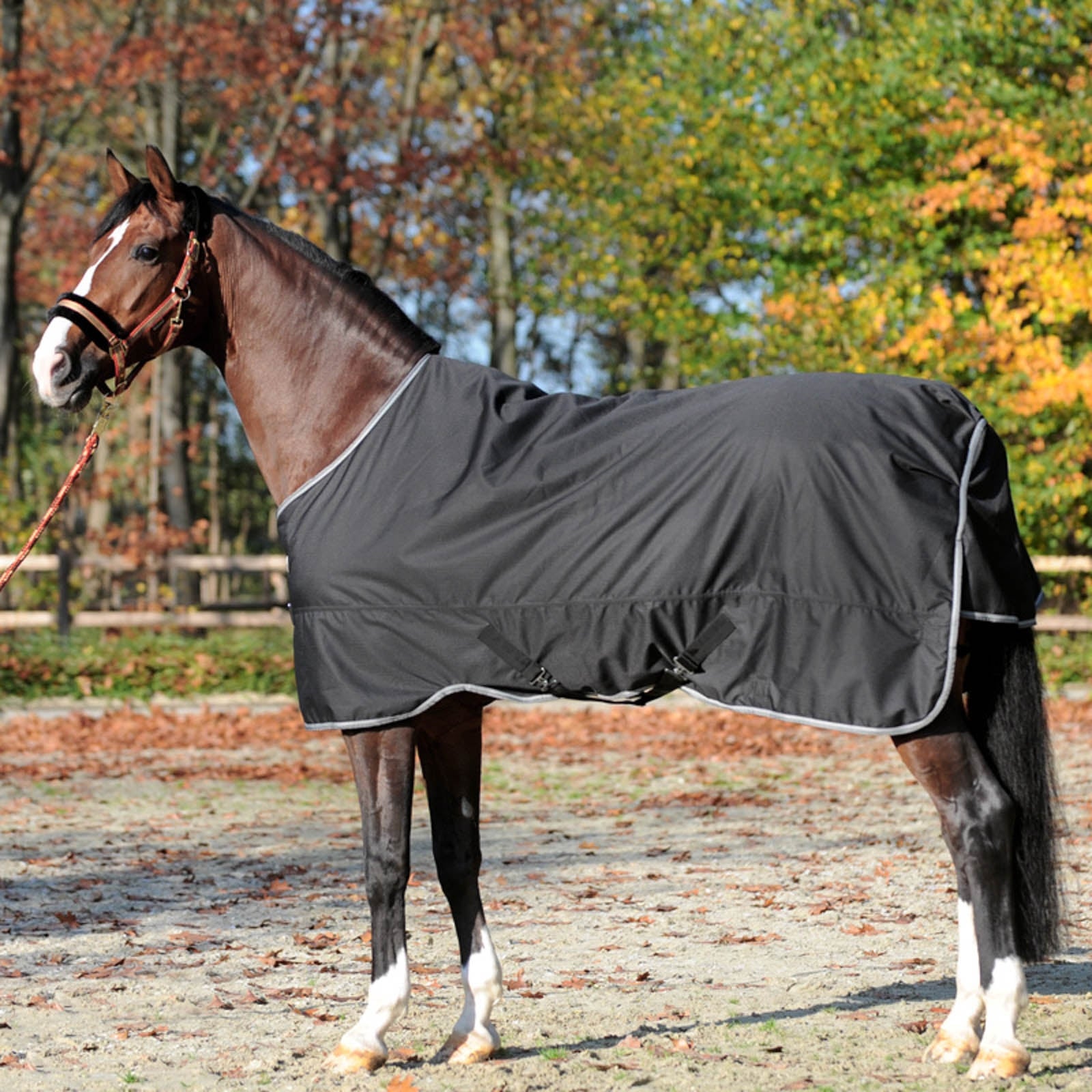 Kavalkade Tappeto Turnout Winnipeg, 50 g Coperte per cavalli