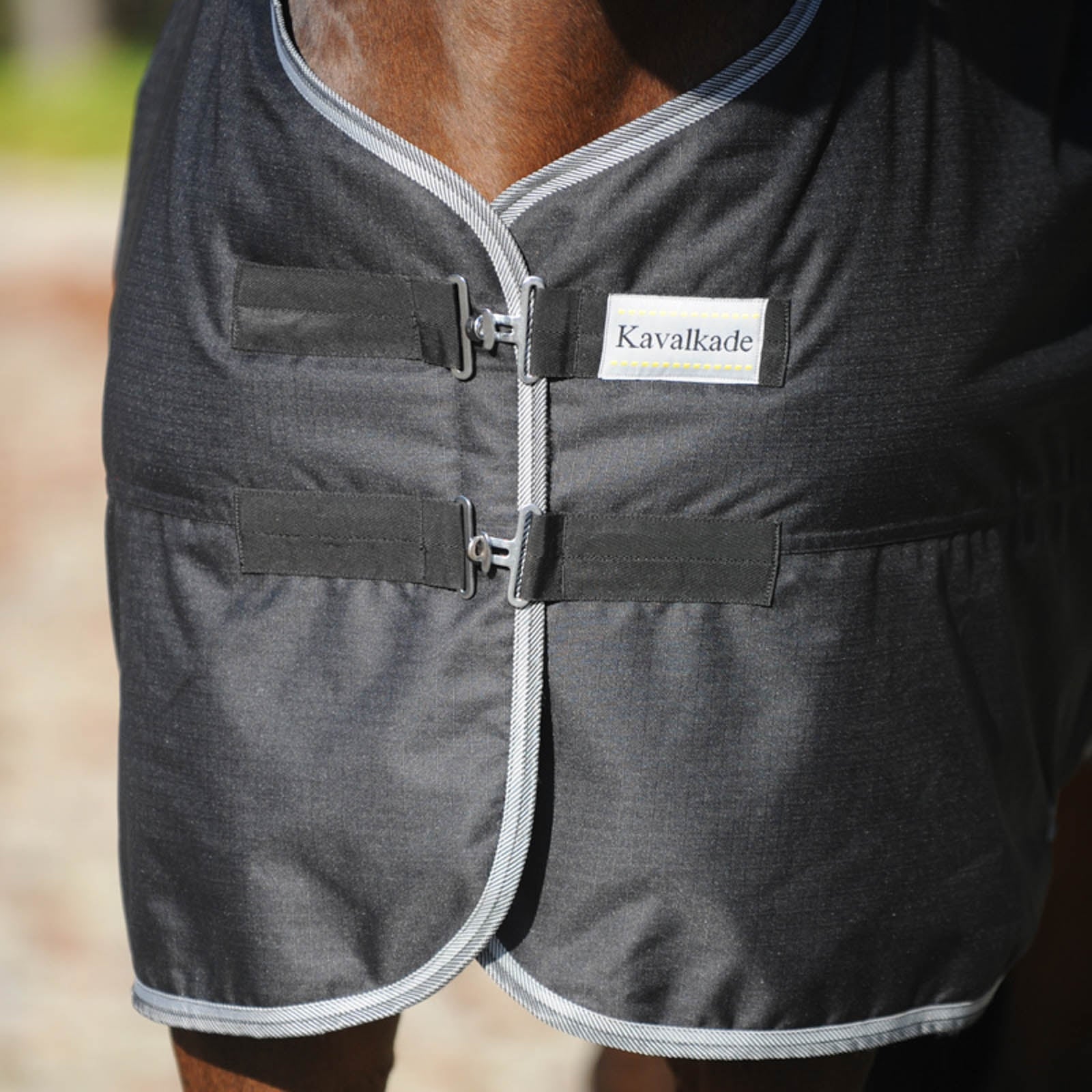 Kavalkade Winnipeg Turnout Rug, 50g Horse Rugs