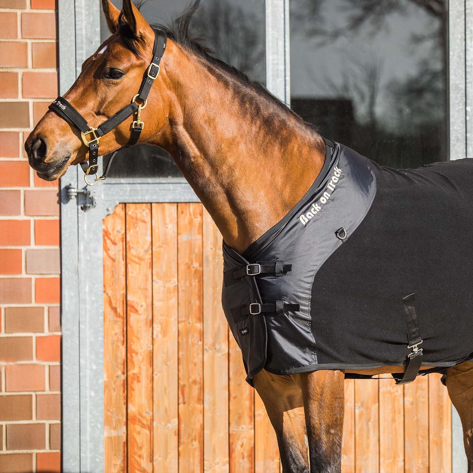 Back on Track Supreme Fleece Rug Horse Rugs