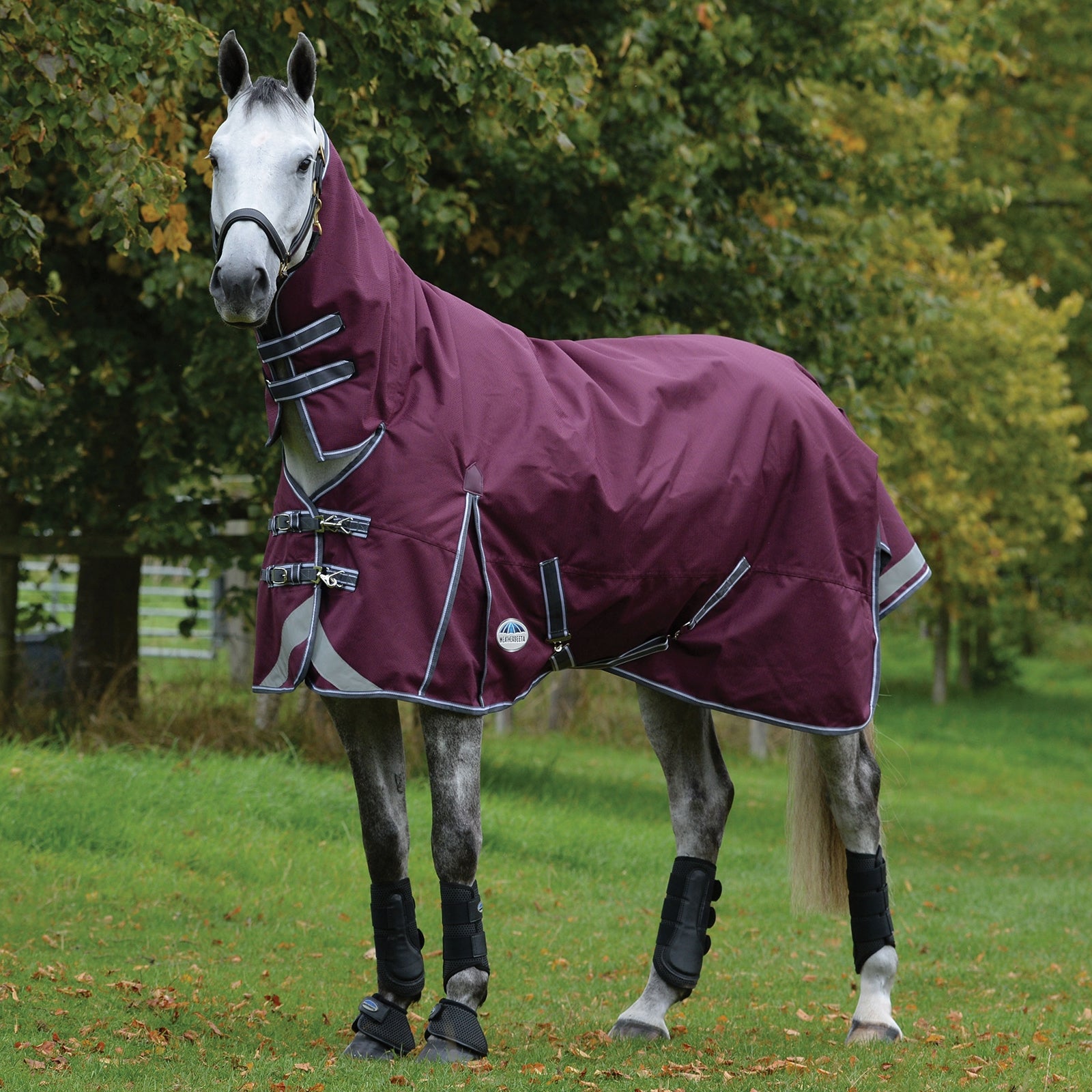 Weatherbeeta Comfitec Plus Dynamic II Coperta combo da turnout con collo, 0 gr Coperte per cavalli