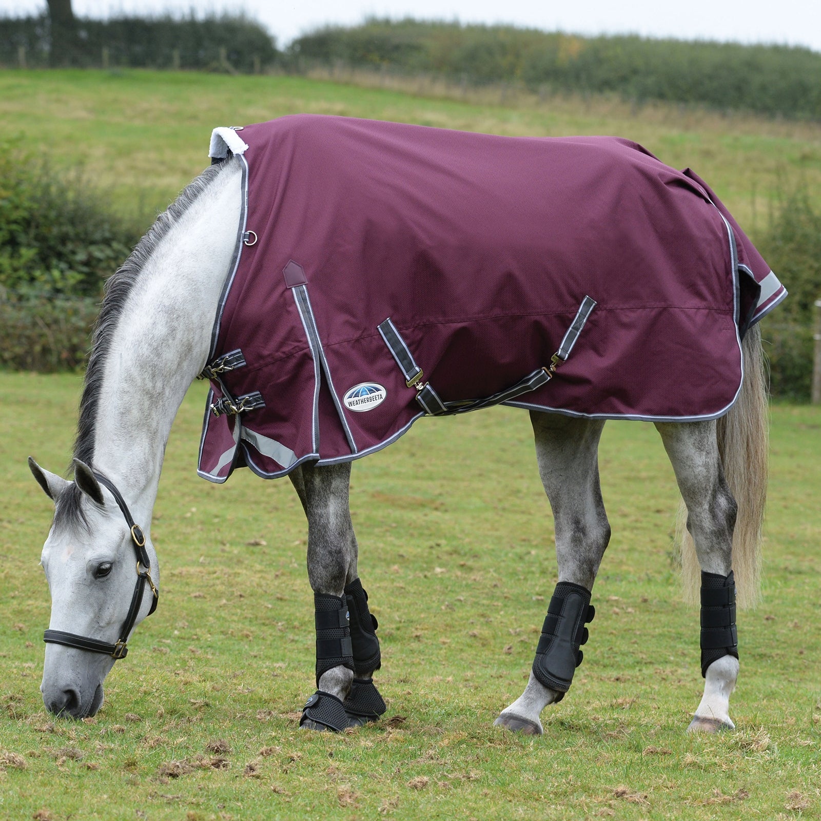 Weatherbeeta Tappeto Comfitec Plus Dynamic II Turnout, 100g Coperte per cavalli