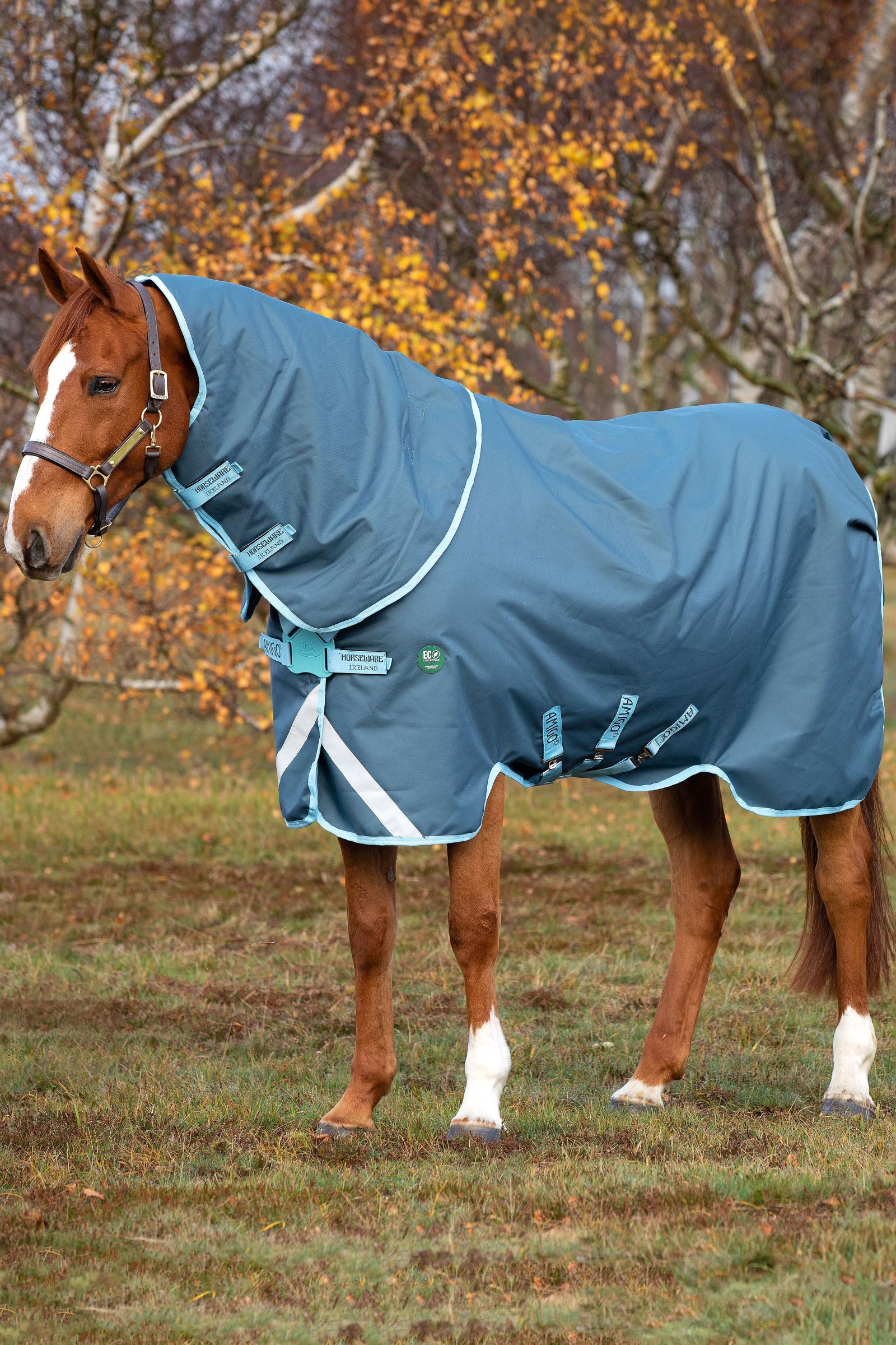 Horseware Amigo AmEco 12 Plus incl. Detachable Hood, 250g Coperte per cavalli