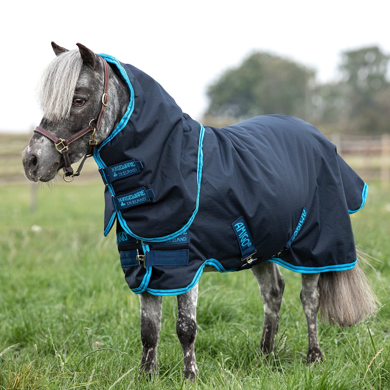 Horseware Amigo Hero 6 Petite Plus Turnout incl. Detachable Hood, 200g Coperte per cavalli