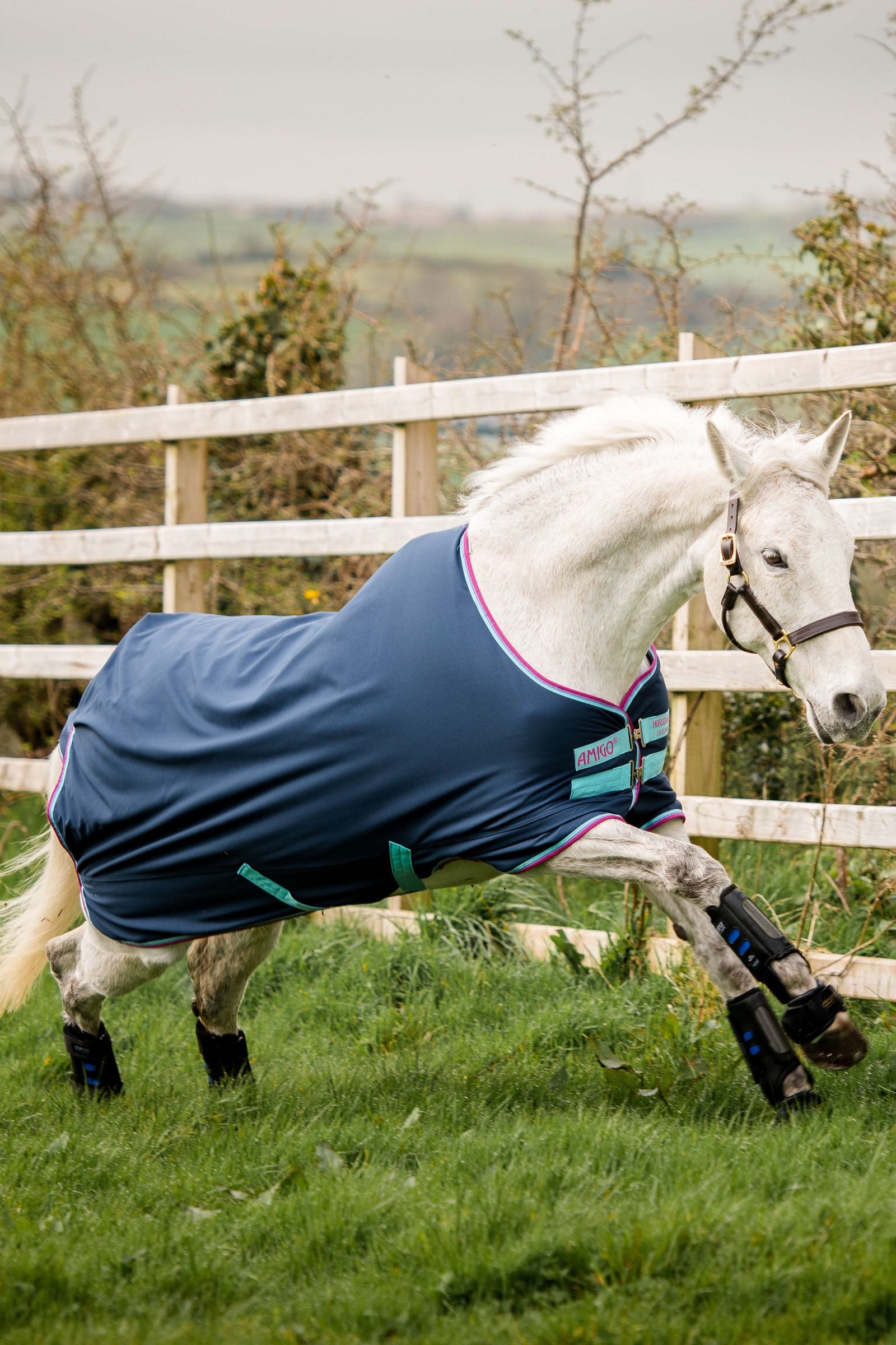 Horseware Amigo Hero 900 Pony Turnout, 200g Coperte per cavalli
