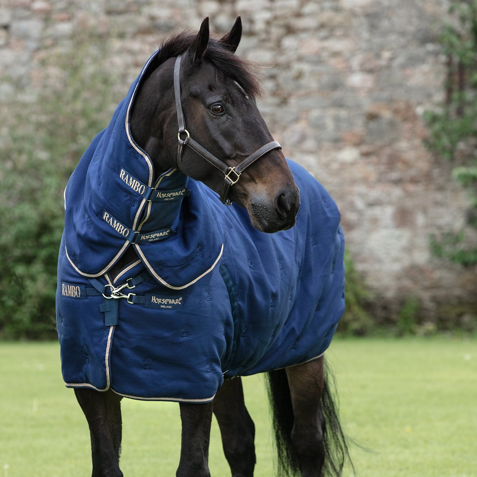 Horseware Rambo Deluxe Stable Plus incl. Detachable Hood, 200g Coperte per cavalli