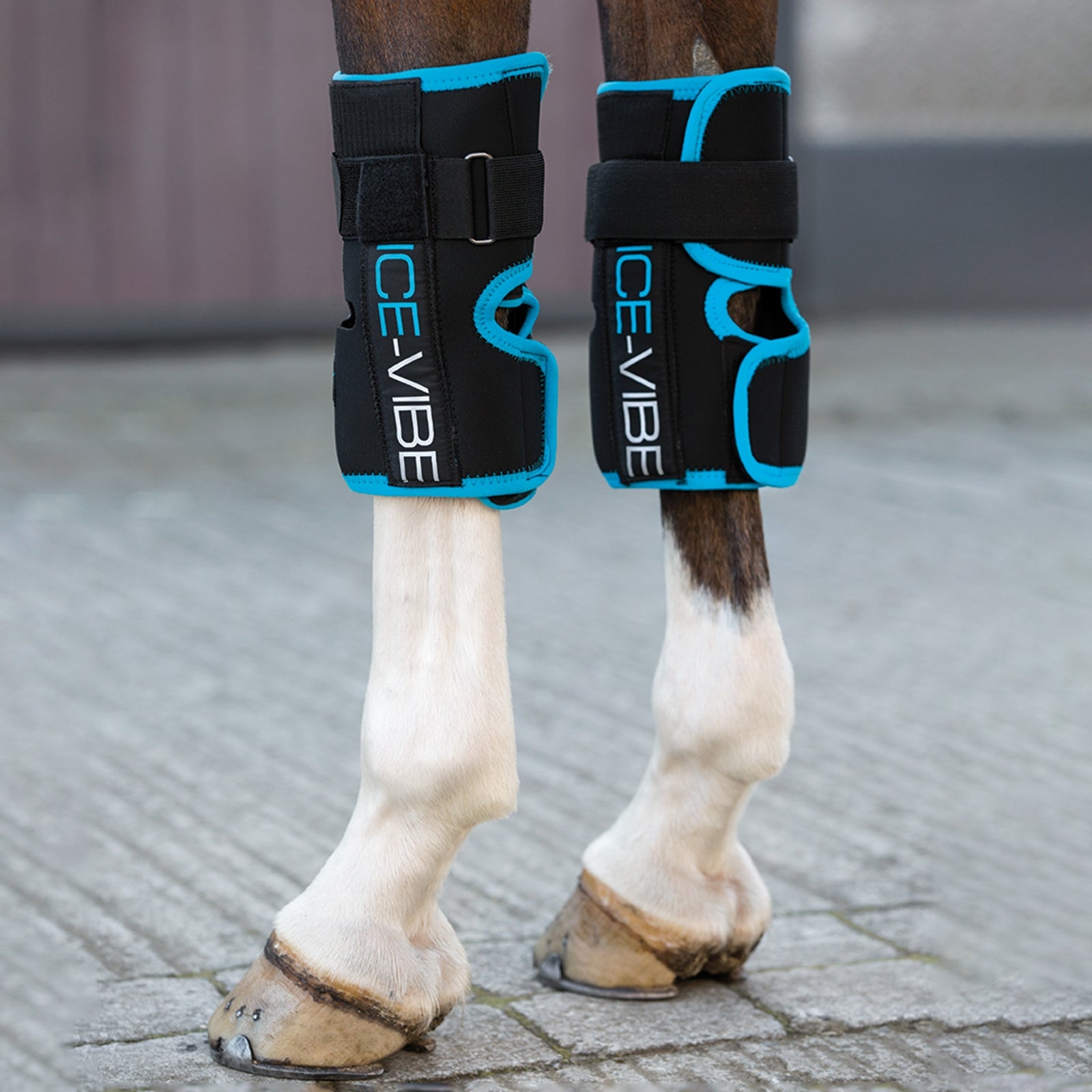 Horseware Ice-Vibe Knee Wrap Prodotti per la salute