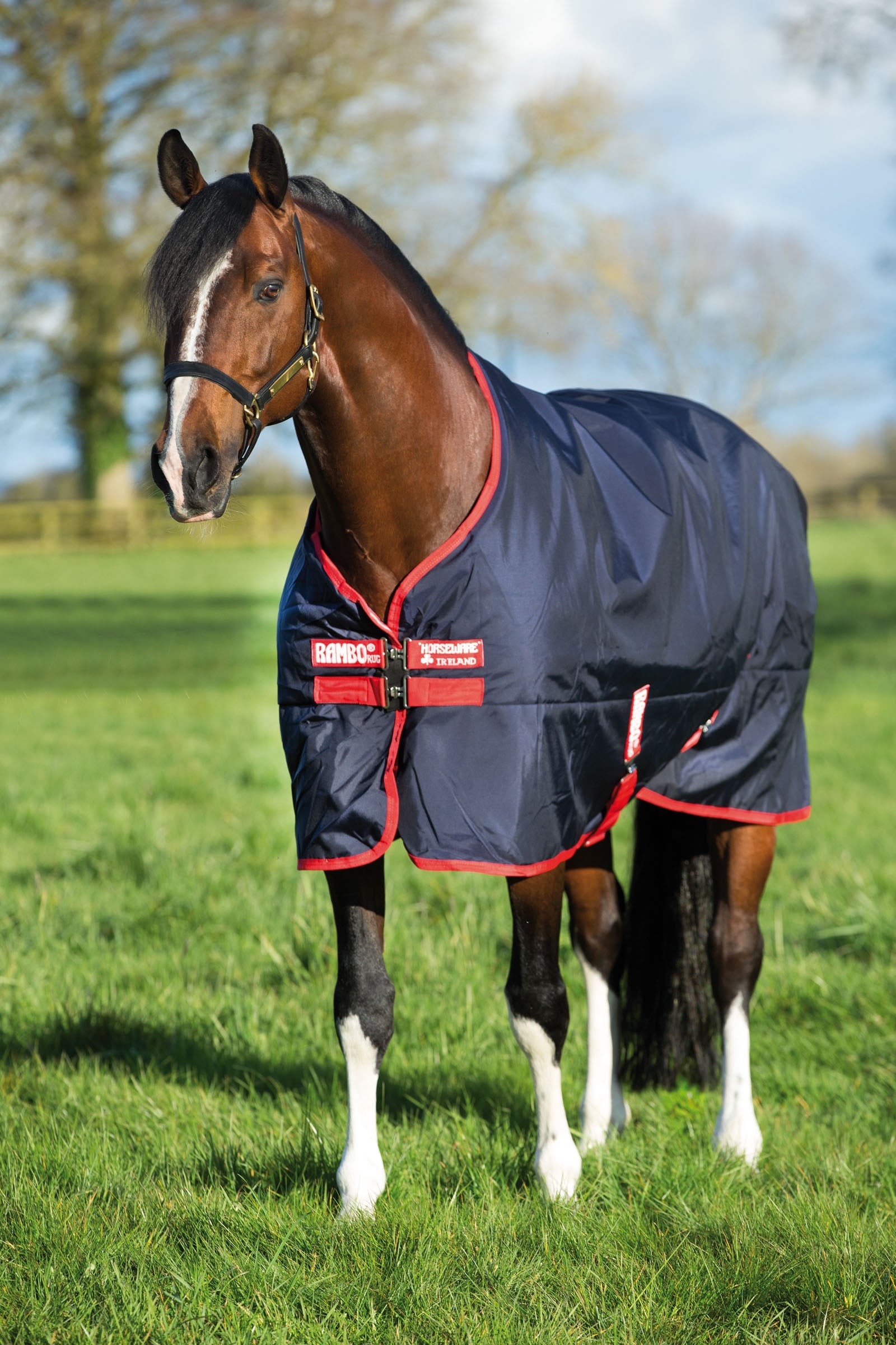Horseware Rambo Original Turnout, 200g Coperte per cavalli
