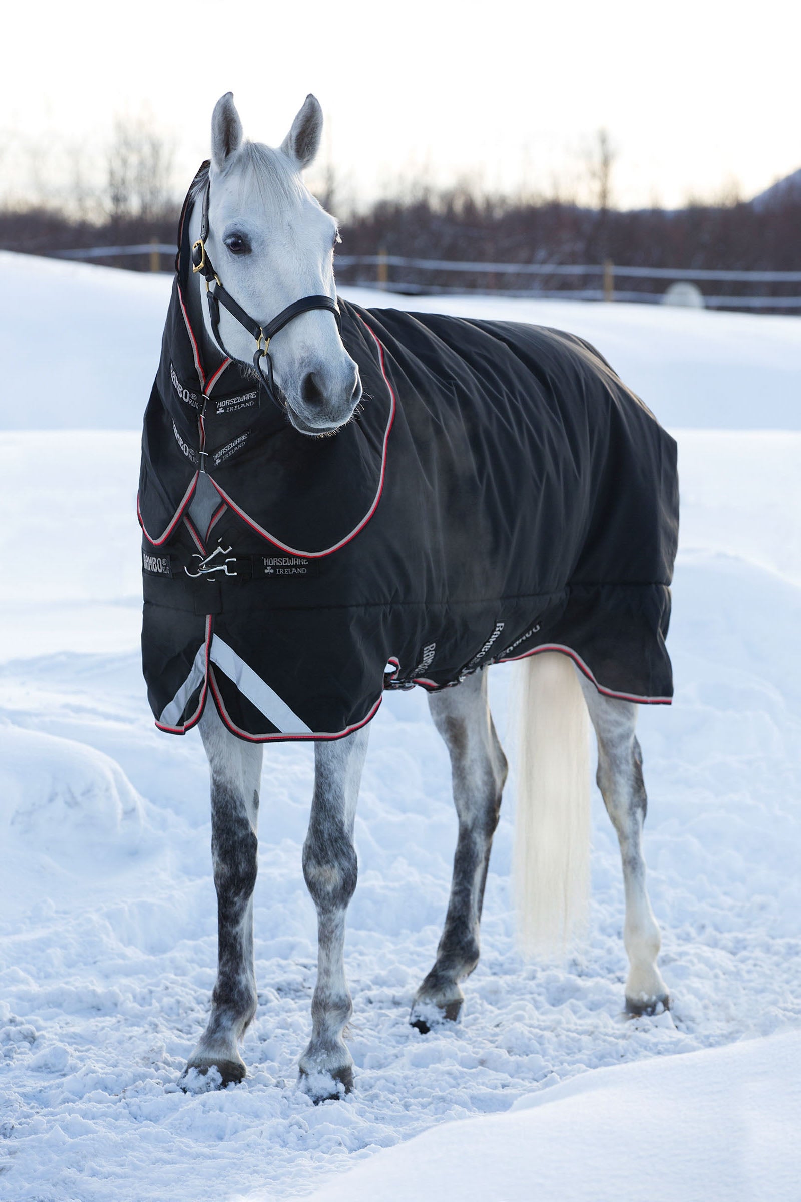 Horseware Rambo Supreme Turnout incl. Detachable Hood, 420g Coperte per cavalli