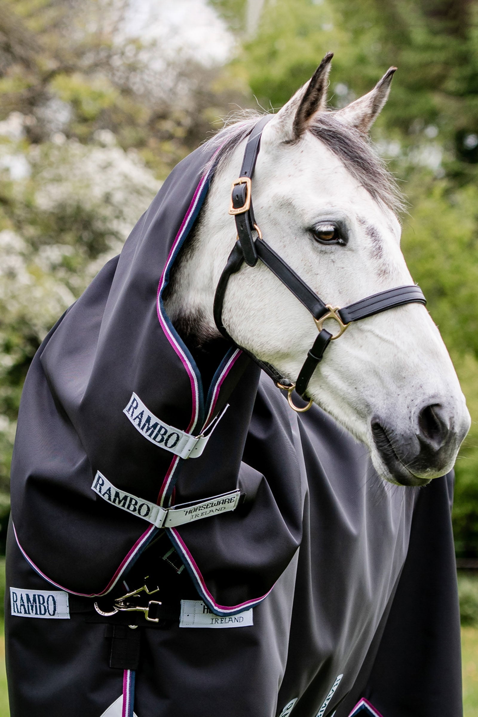 Horseware Rambo Supreme Hood, 0g Coperte per cavalli