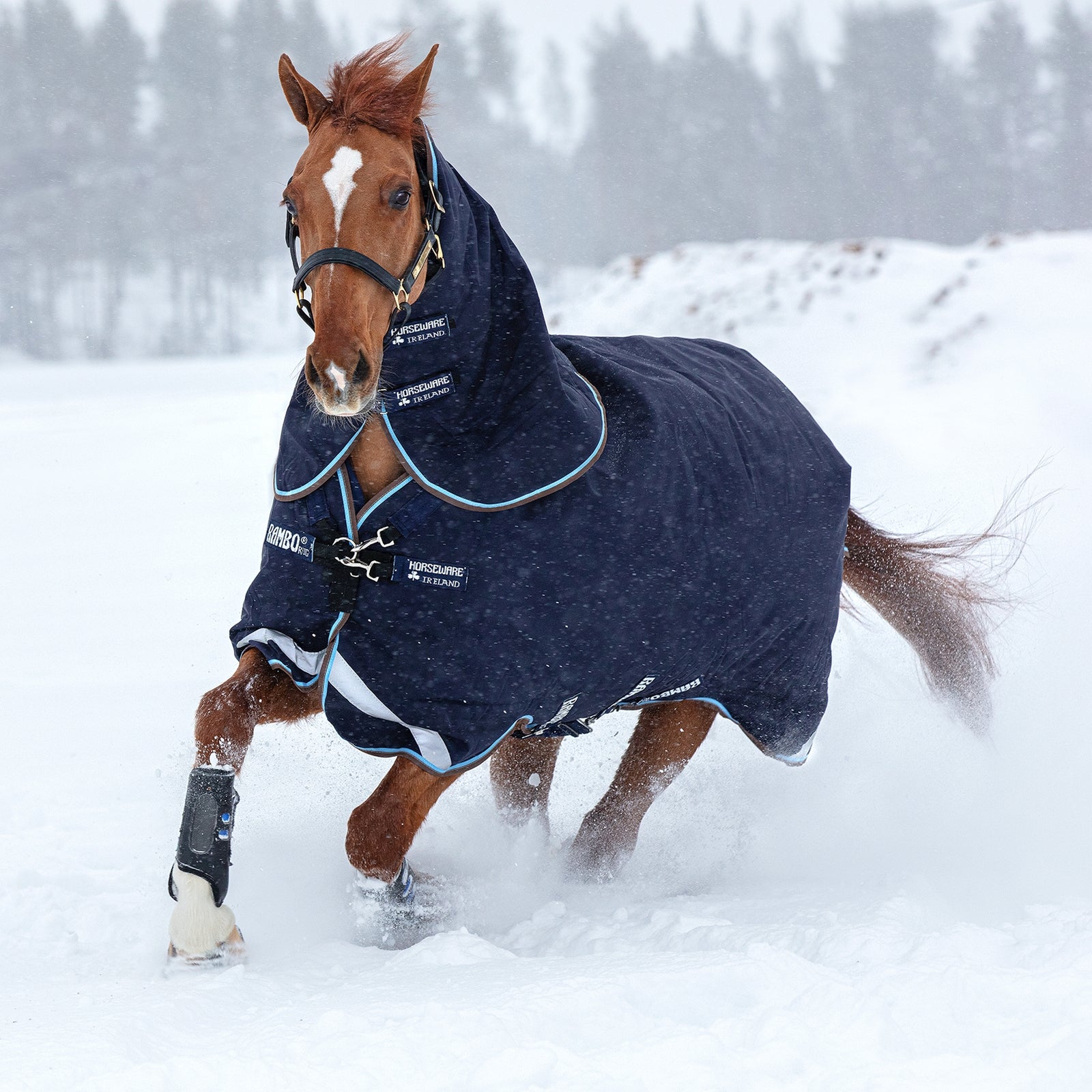 Horseware Rambo Duo Turnout incl. Cappuccio staccabile, 100 g Coperte per cavalli