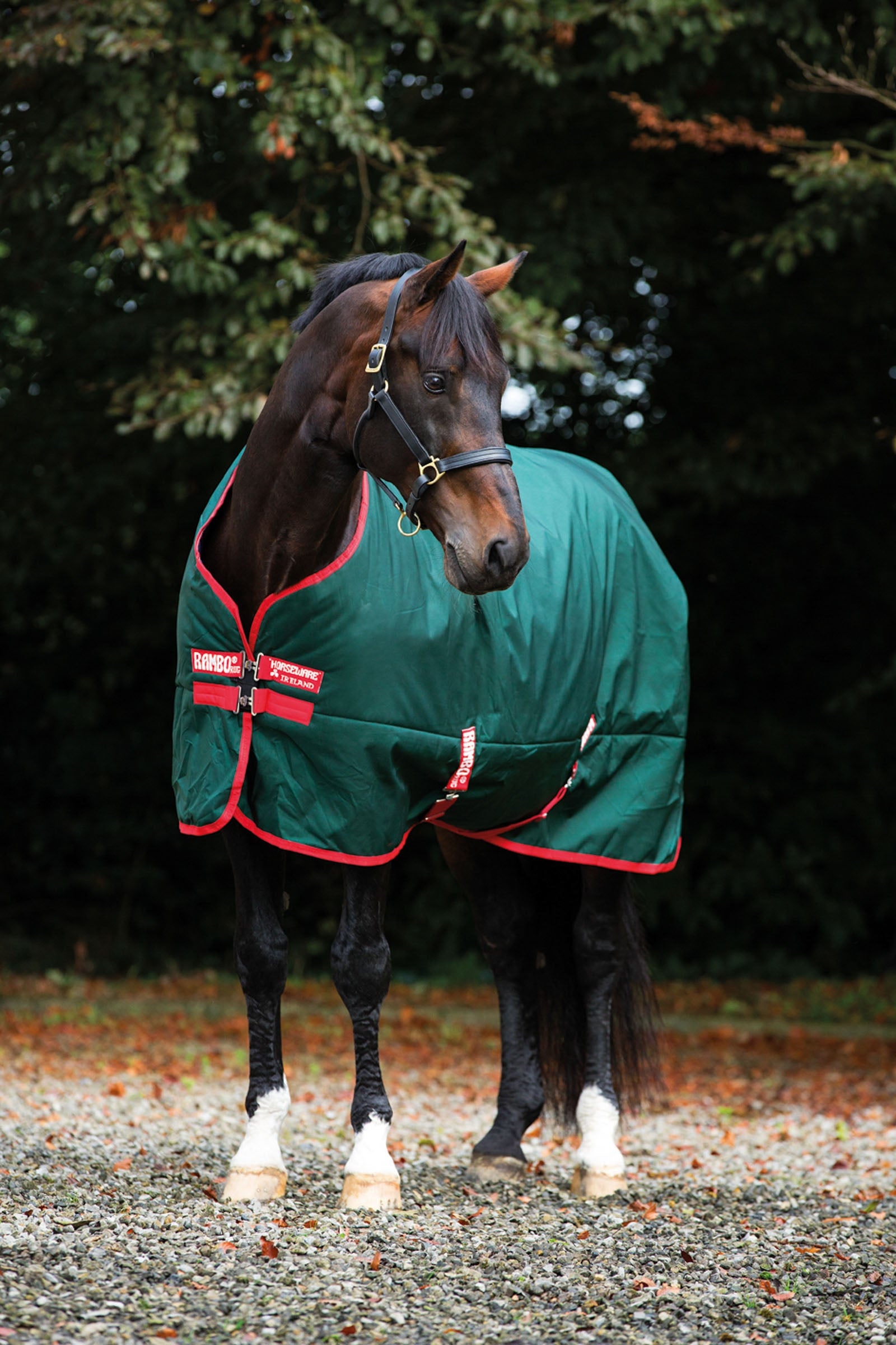 Horseware Rambo Original Turnout, 0g Coperte per cavalli
