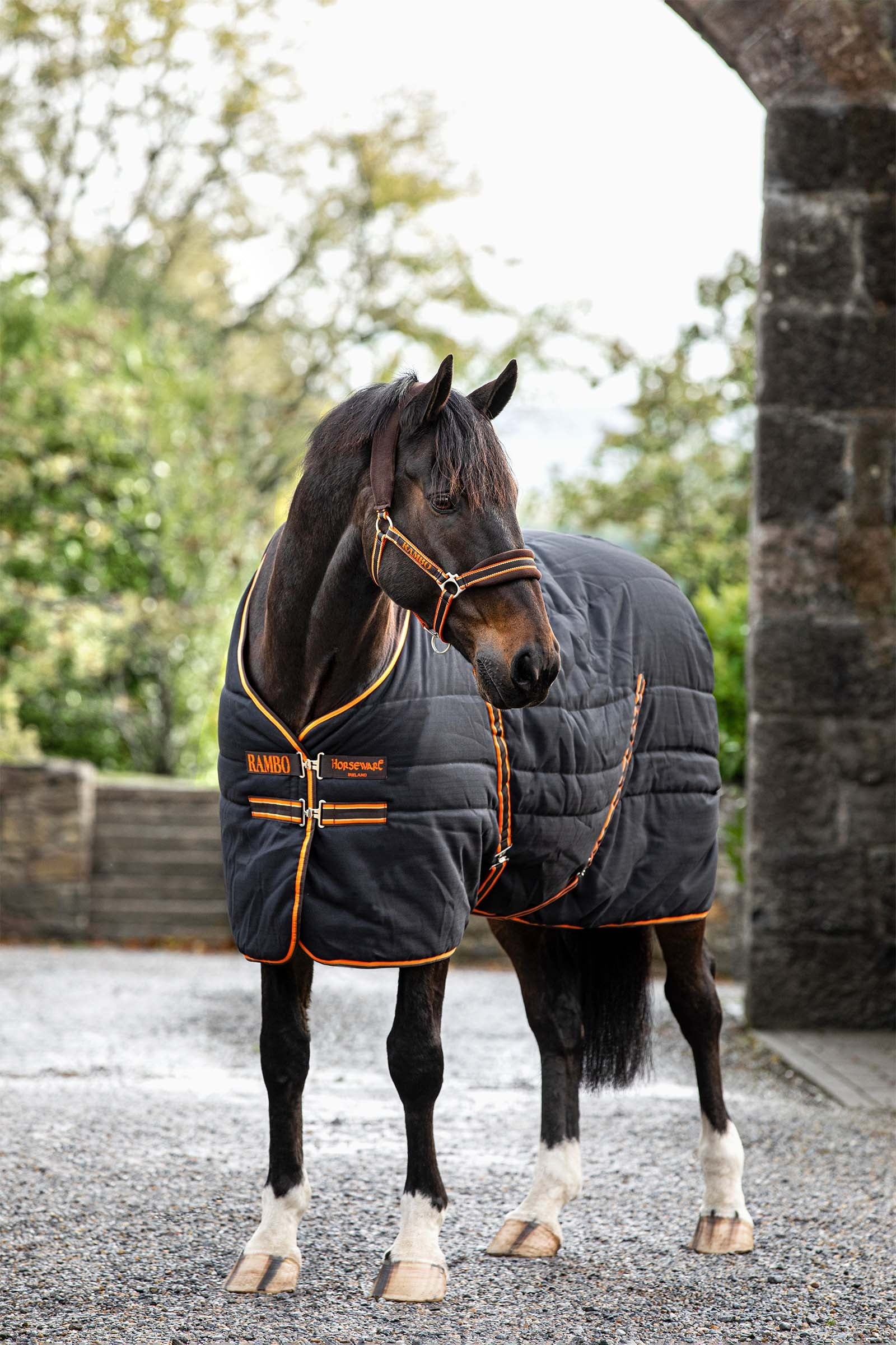 Horseware Coperta da scuderia con fodera unita, 200 gr Coperte per cavalli