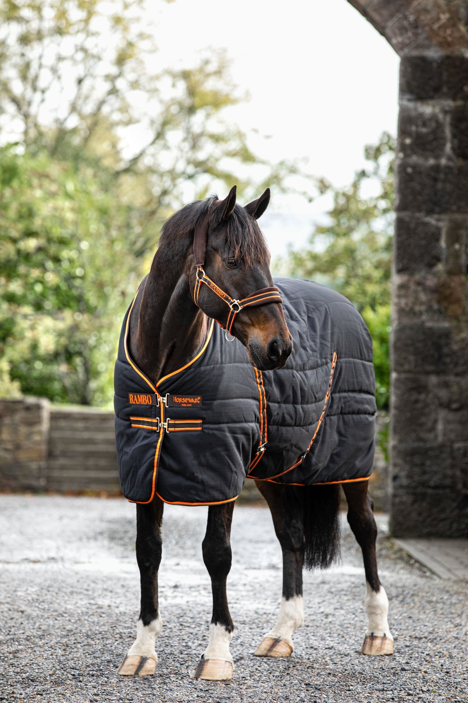 Horseware Rambo Stable 200g Coperte per cavalli