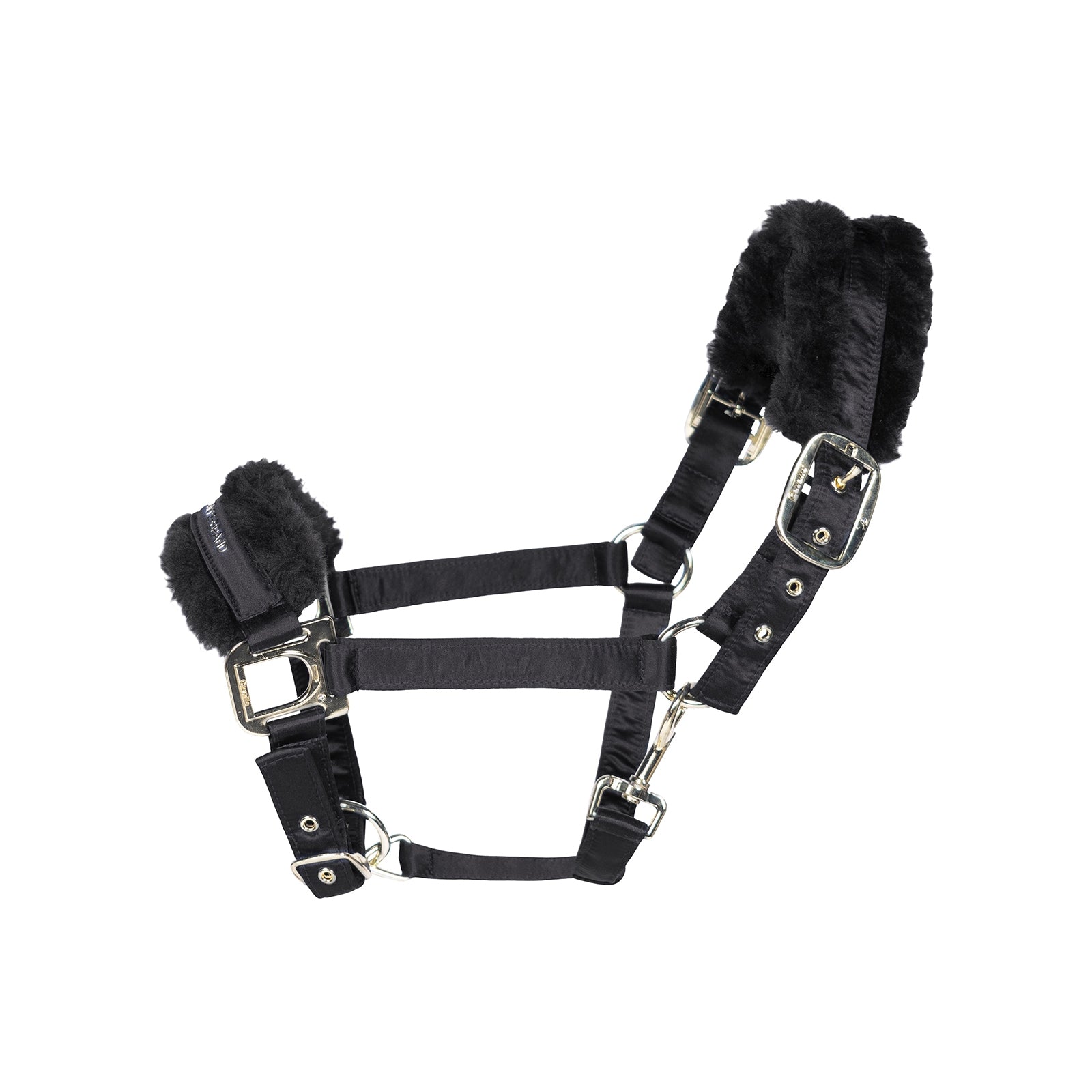 Cavallo CAVALHALONA Halter Cavezze e guinsagli
