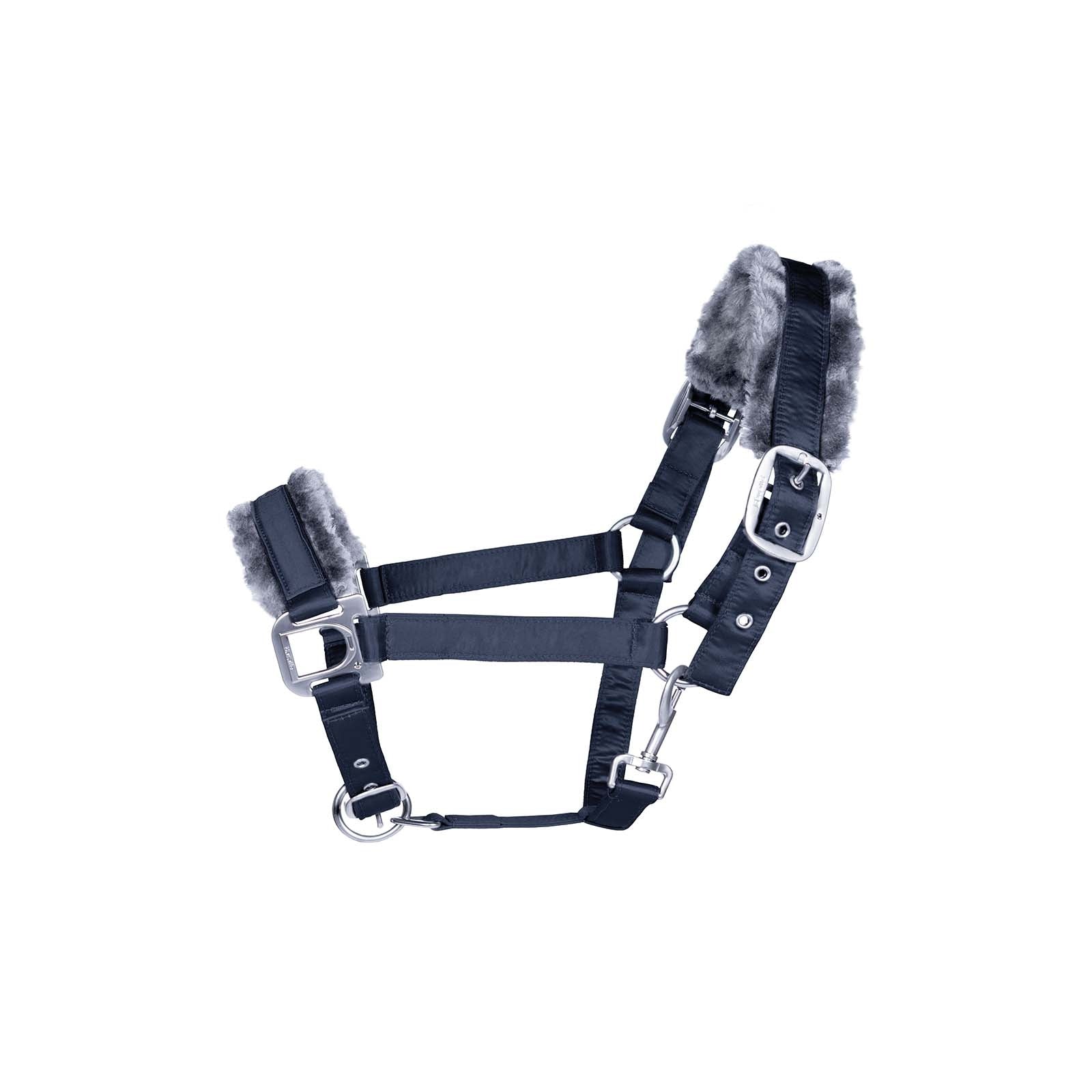 Cavallo Cavezza CavalHouki Cavezze e guinsagli