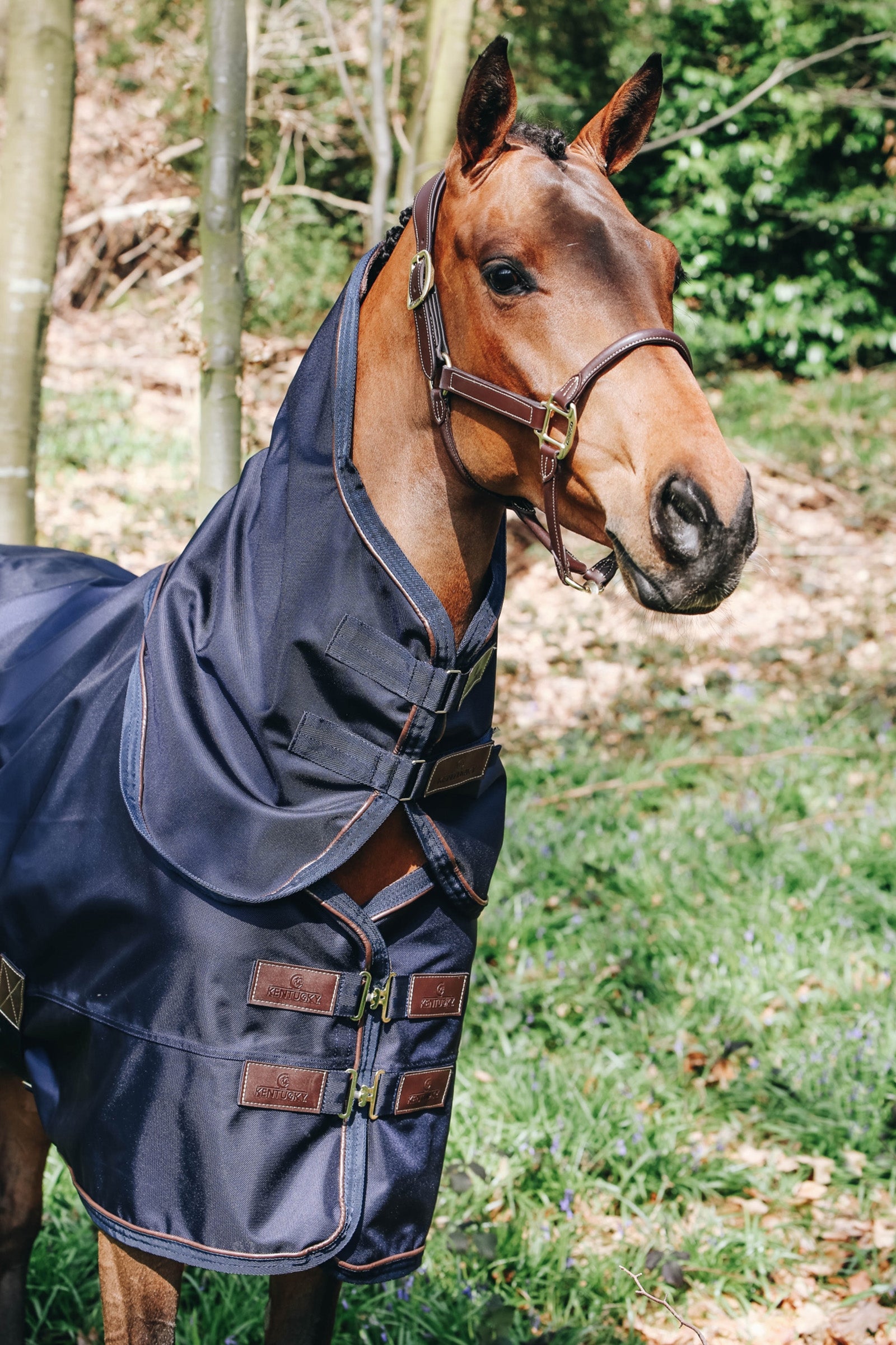Kentucky Horsewear collo per tutte le stagioni, 0 g Coperte per cavalli