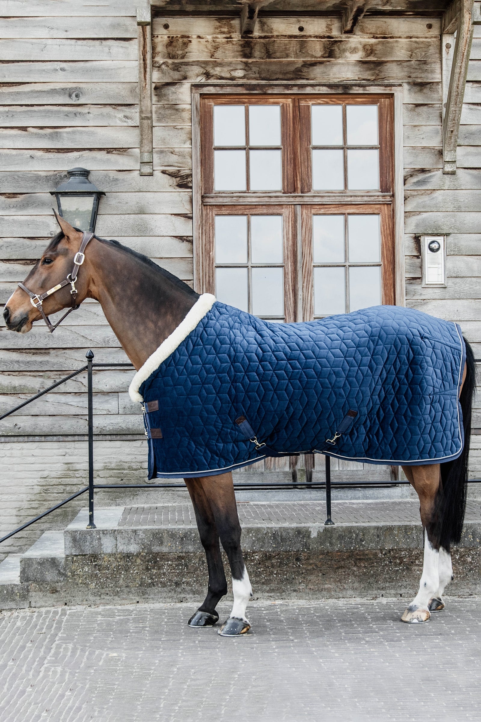 Kentucky Horsewear Coperta da concorso Velvet per pony, 160 gr Coperte per cavalli