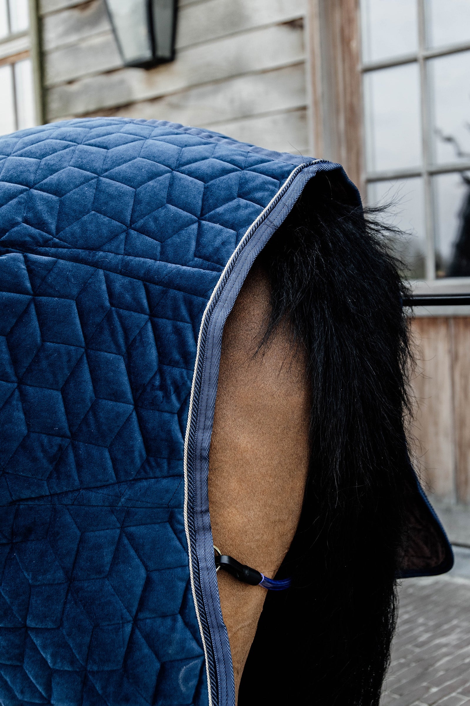 Kentucky Horsewear Velvet Pony Show Rug, 160g Horse Rugs