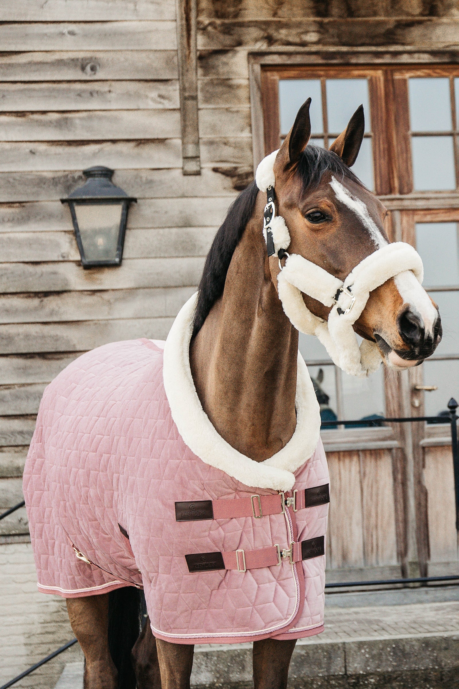 Kentucky Horsewear Coperta da concorso Velvet per pony, 160 gr Coperte per cavalli