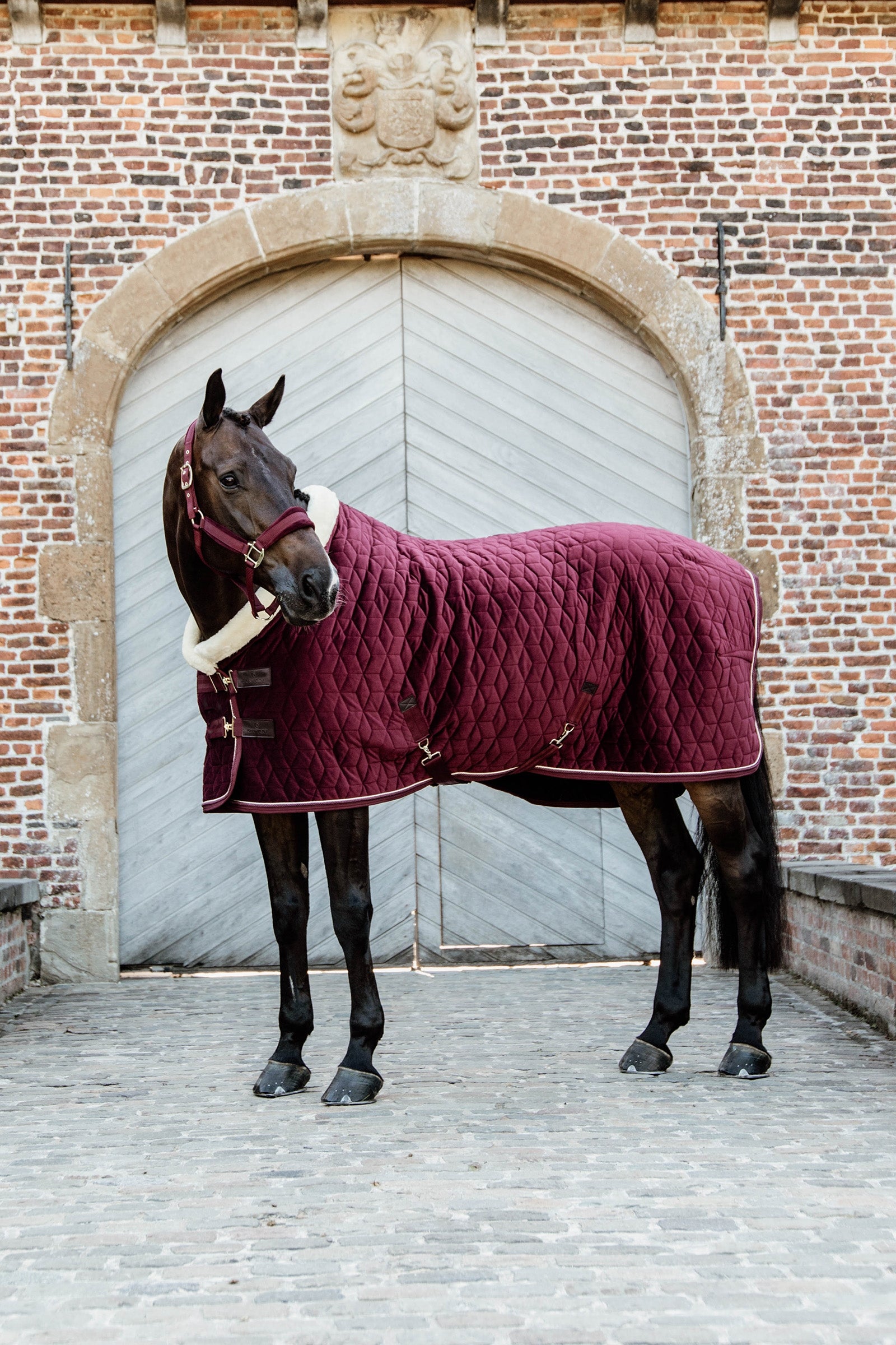 Kentucky Horsewear Velvet Coperta da concorso per pony, 160 gr Coperte per cavalli