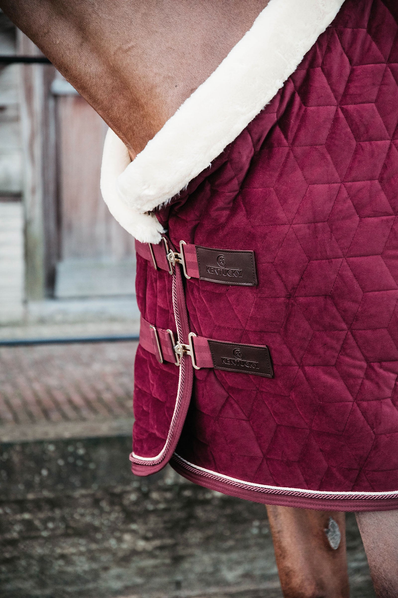 Kentucky Horsewear Velvet Show Rug, 160g Horse Rugs