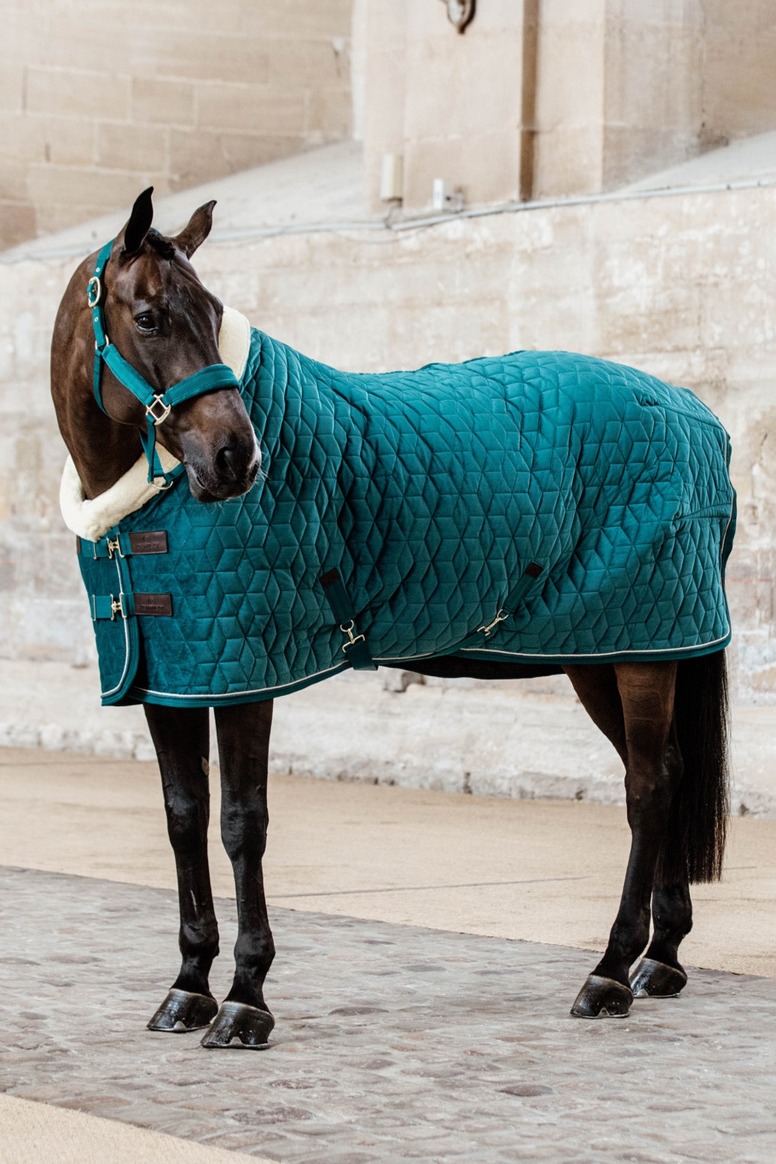 Kentucky Horsewear Velvet Coperta da concorso per pony, 160 gr Coperte per cavalli