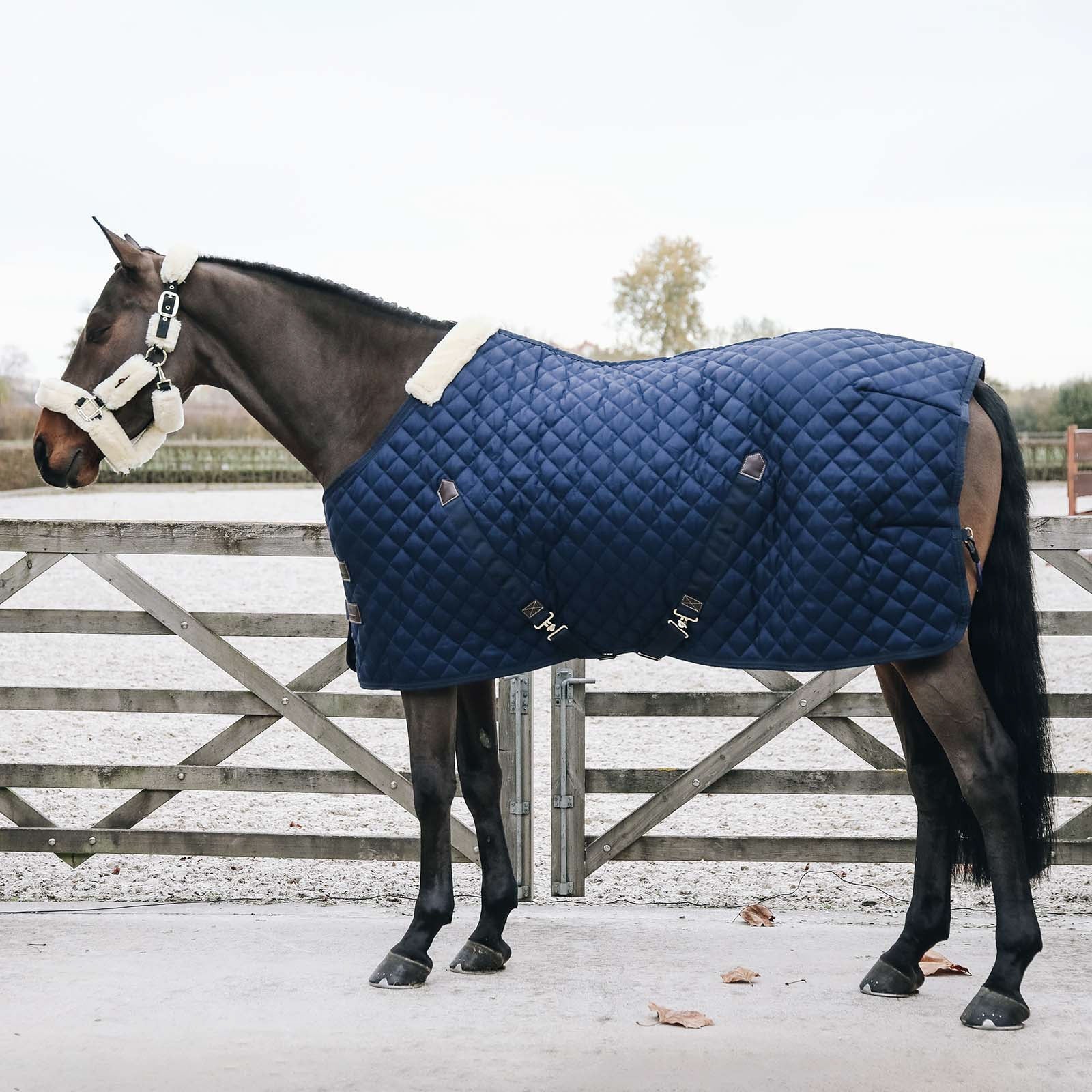 Kentucky Horsewear , Coperta da scuderia 200 gr Coperte per cavalli